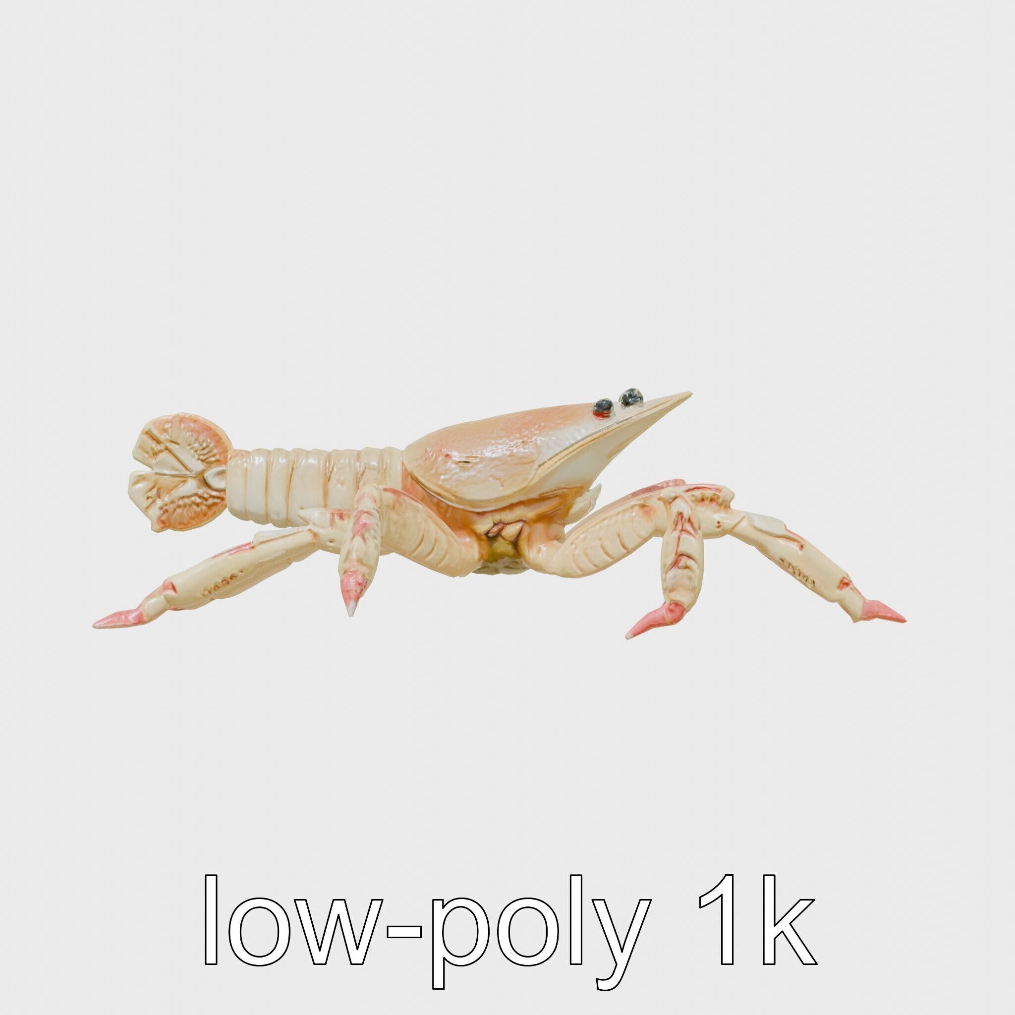 Arrow Crab Detailed 3D Model with Elongated Body and Pointed ... Low-poly 3D model_29