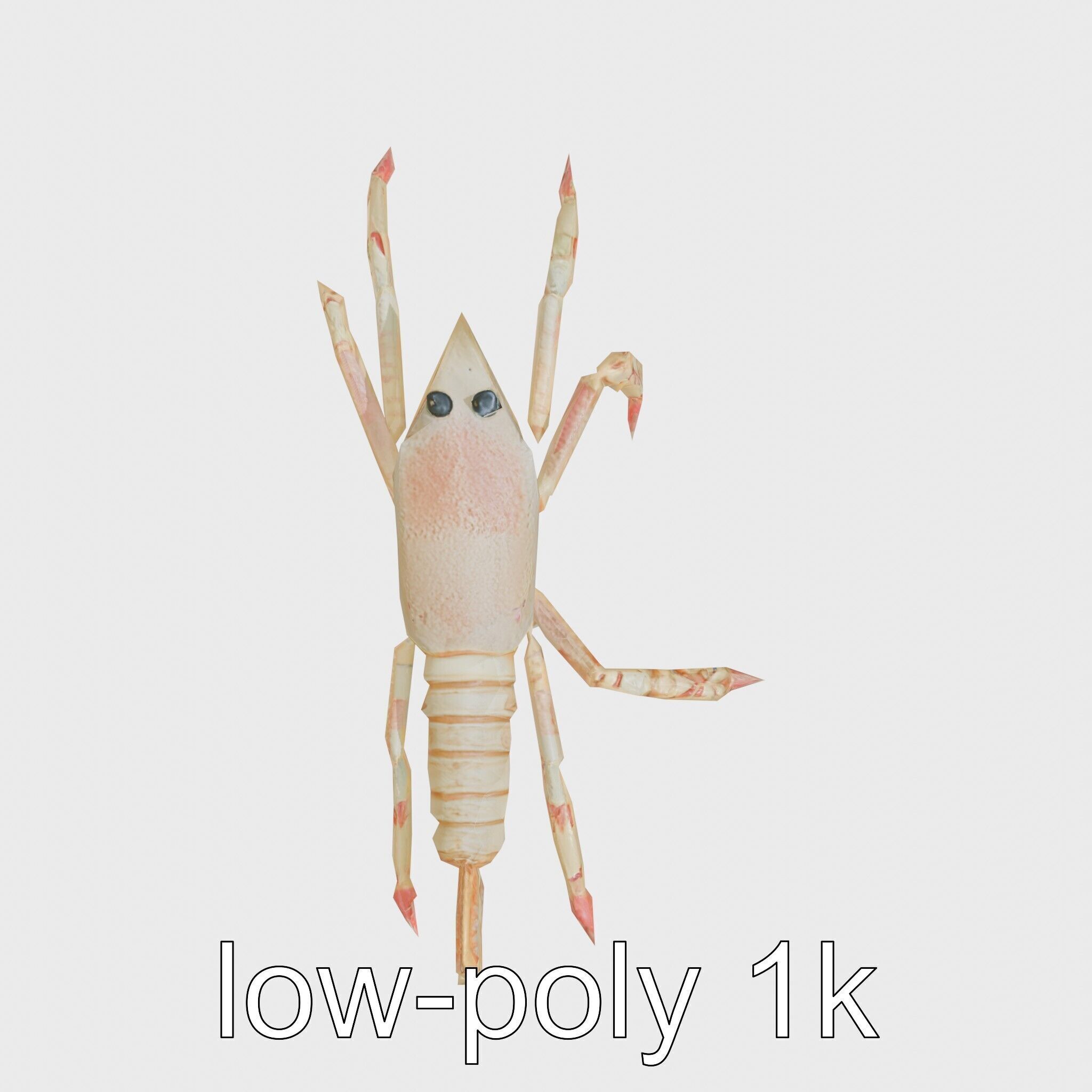 Arrow Crab Detailed 3D Model with Elongated Body and Pointed ... Low-poly 3D model_30