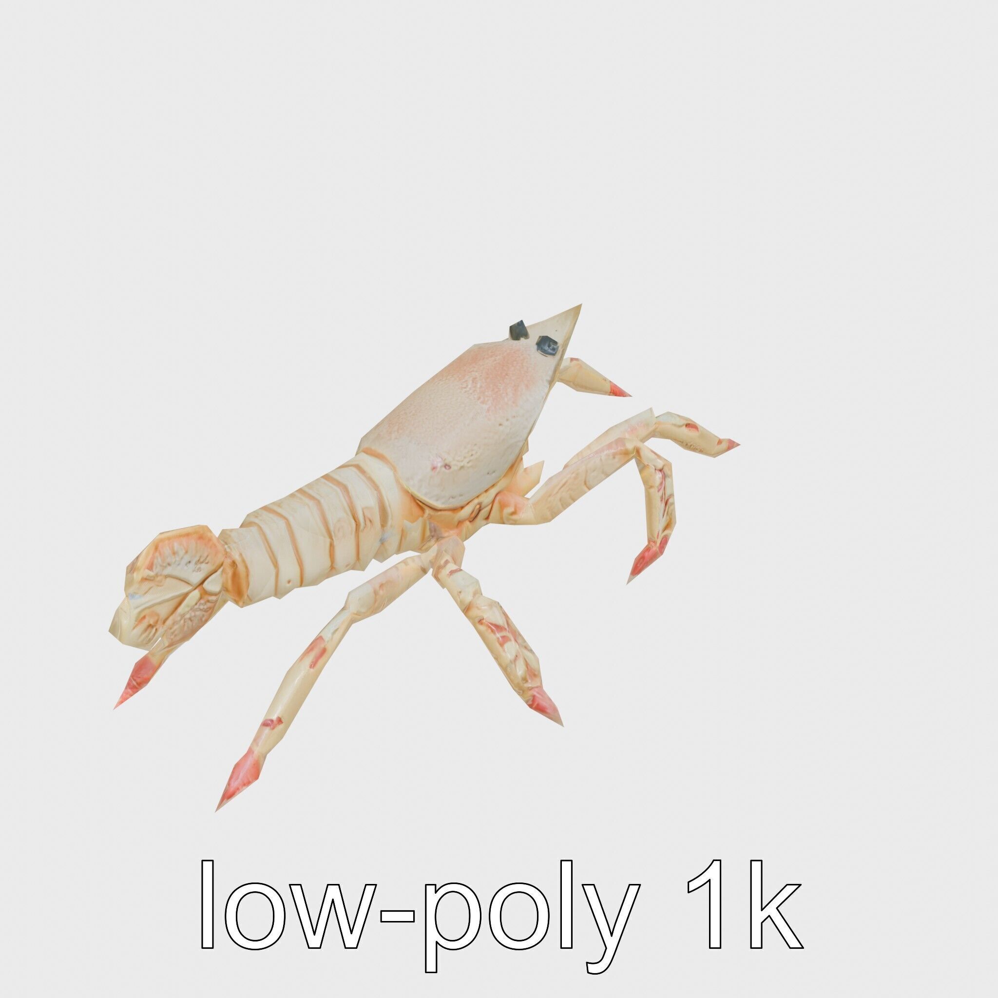 Arrow Crab Detailed 3D Model with Elongated Body and Pointed ... Low-poly 3D model_17