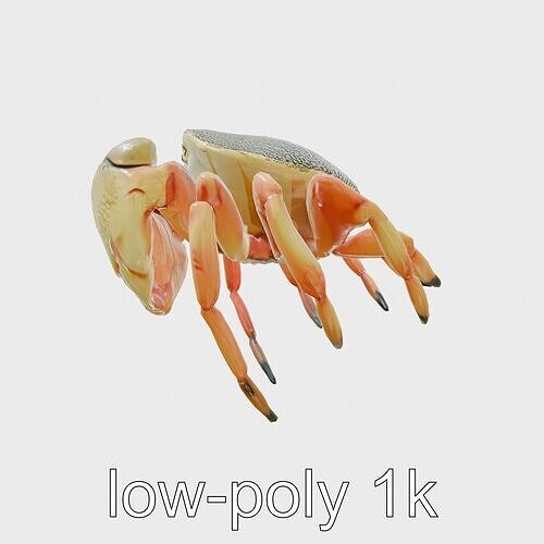 Sally Lightfoot Crab Colorful 3D Model Low-poly 3D model