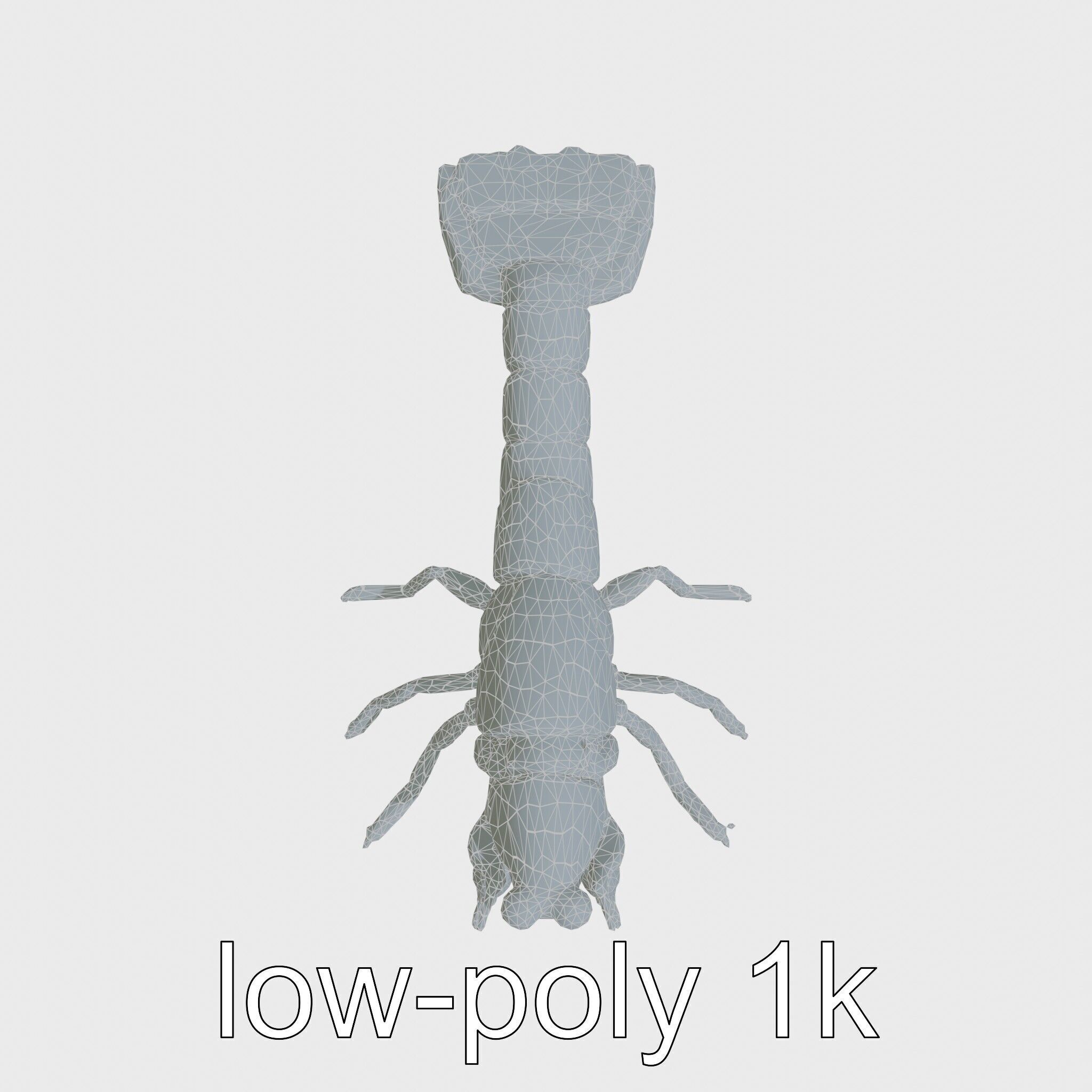 Decorator Crab Model with Camouflage Behavior Low-poly 3D model_20