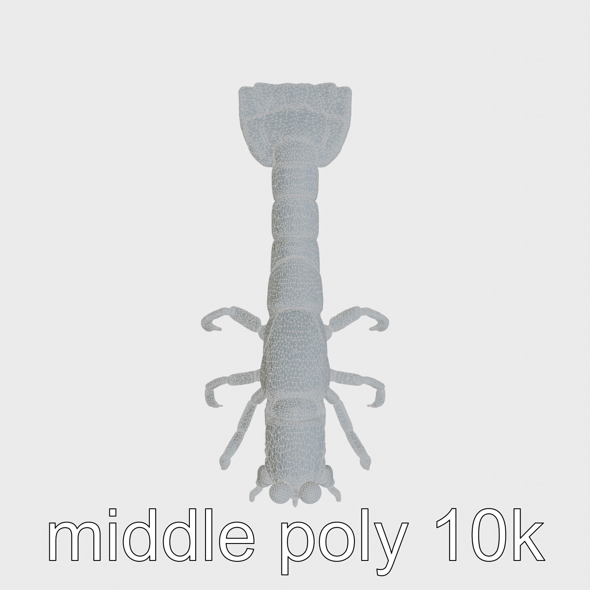 Decorator Crab Model with Camouflage Behavior Low-poly 3D model_27