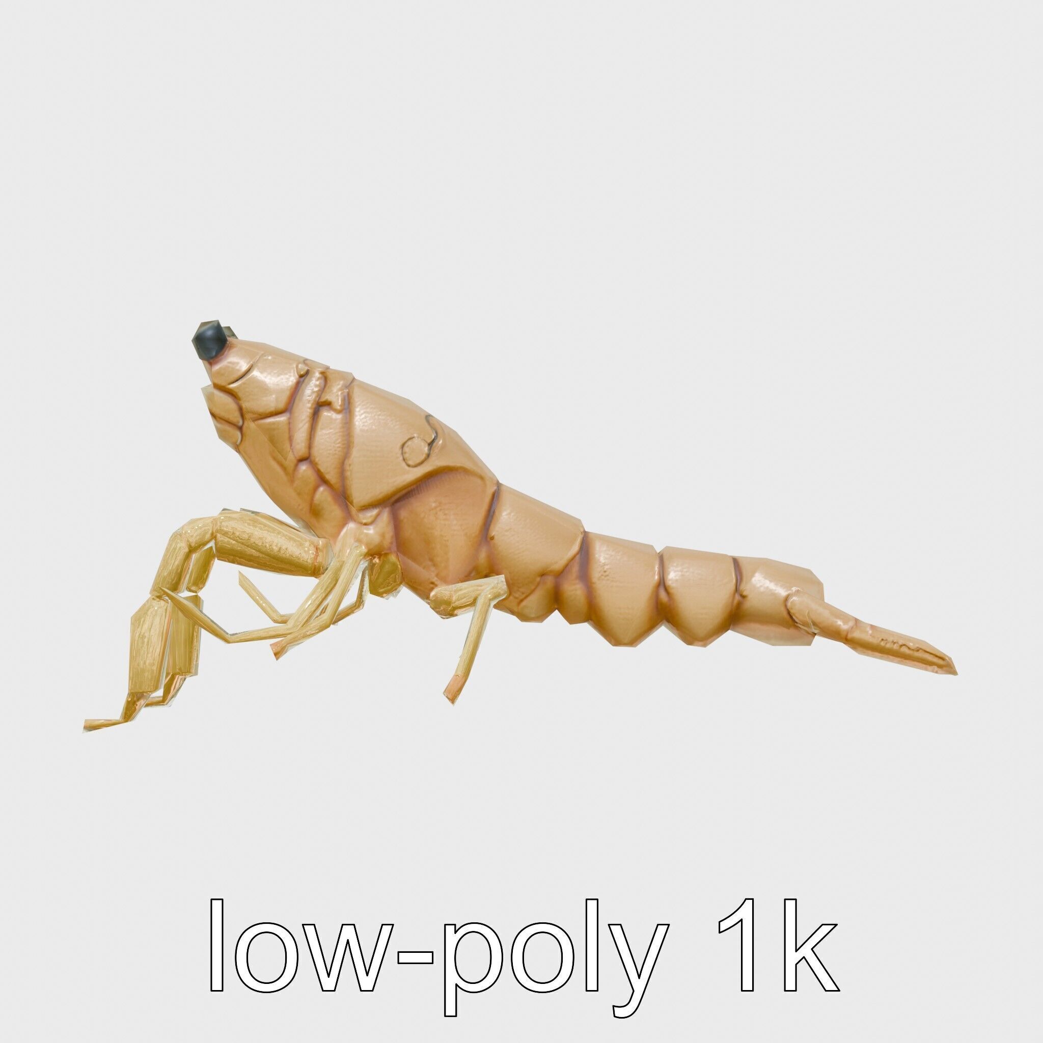 Decorator Crab Model with Camouflage Behavior Low-poly 3D model_23