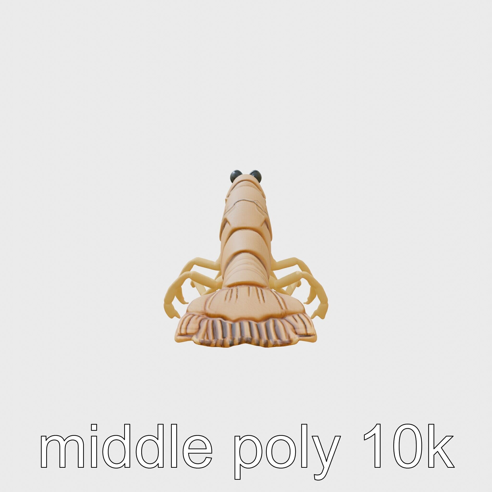 Decorator Crab Model with Camouflage Behavior Low-poly 3D model_2