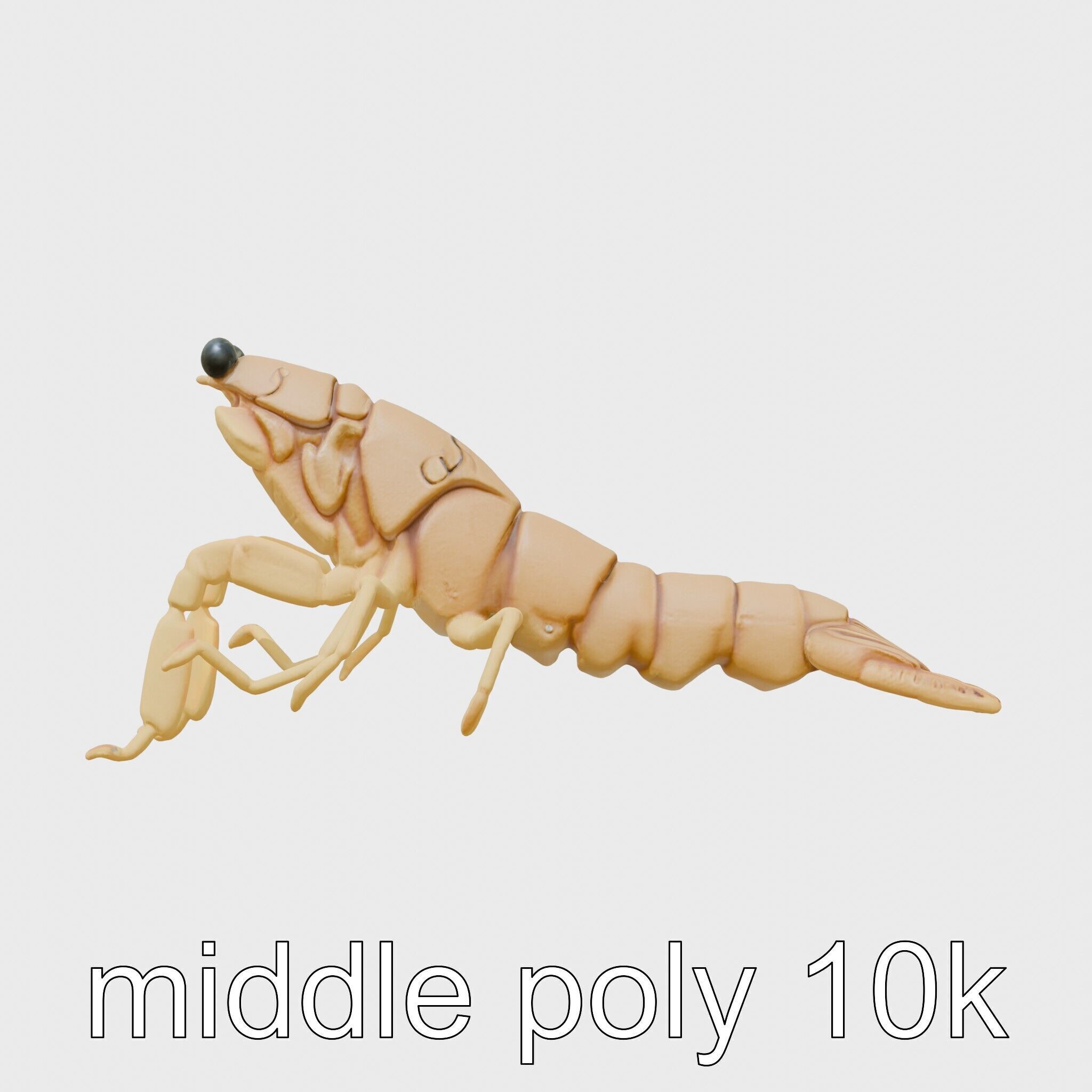 Decorator Crab Model with Camouflage Behavior Low-poly 3D model_10