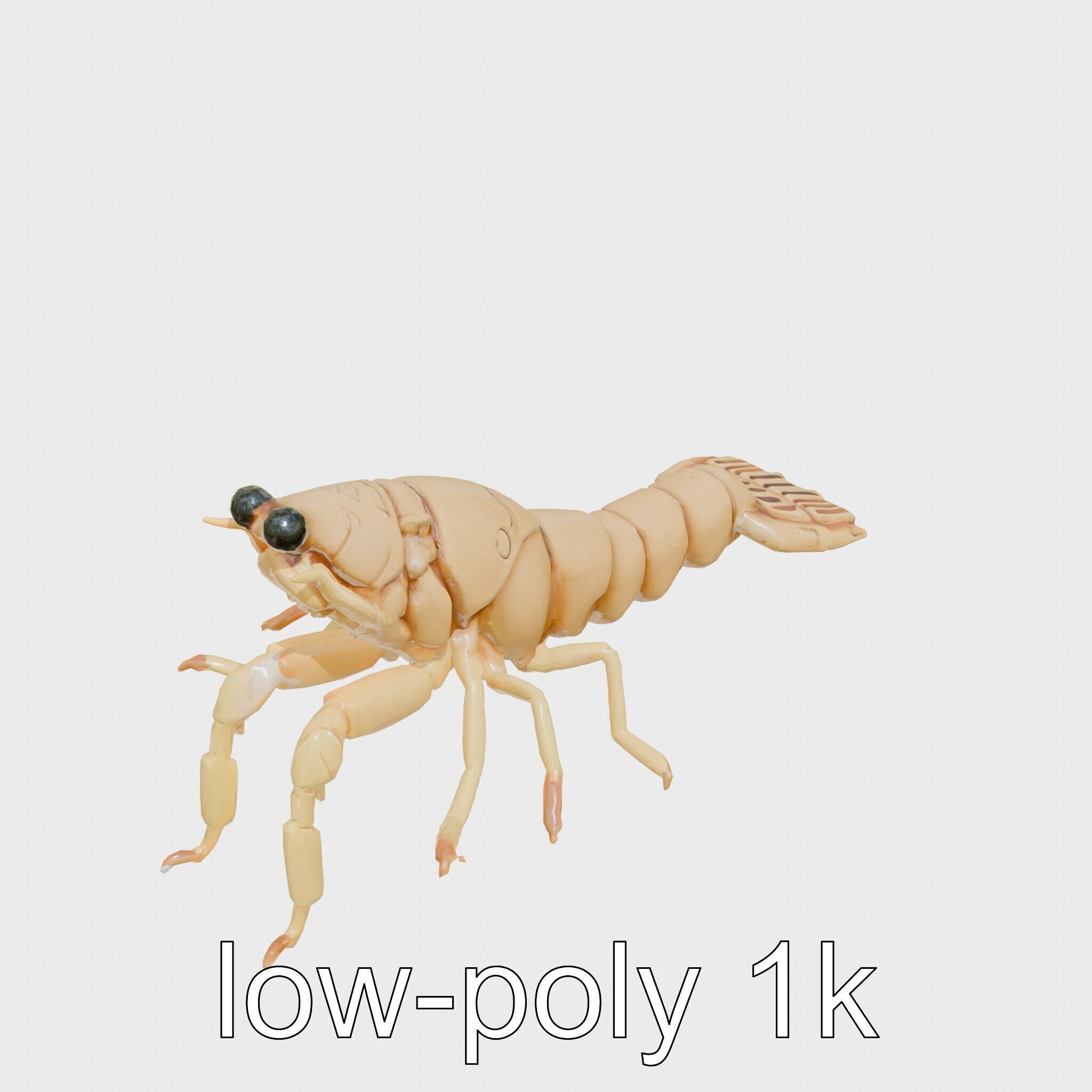Decorator Crab Model with Camouflage Behavior Low-poly 3D model_9