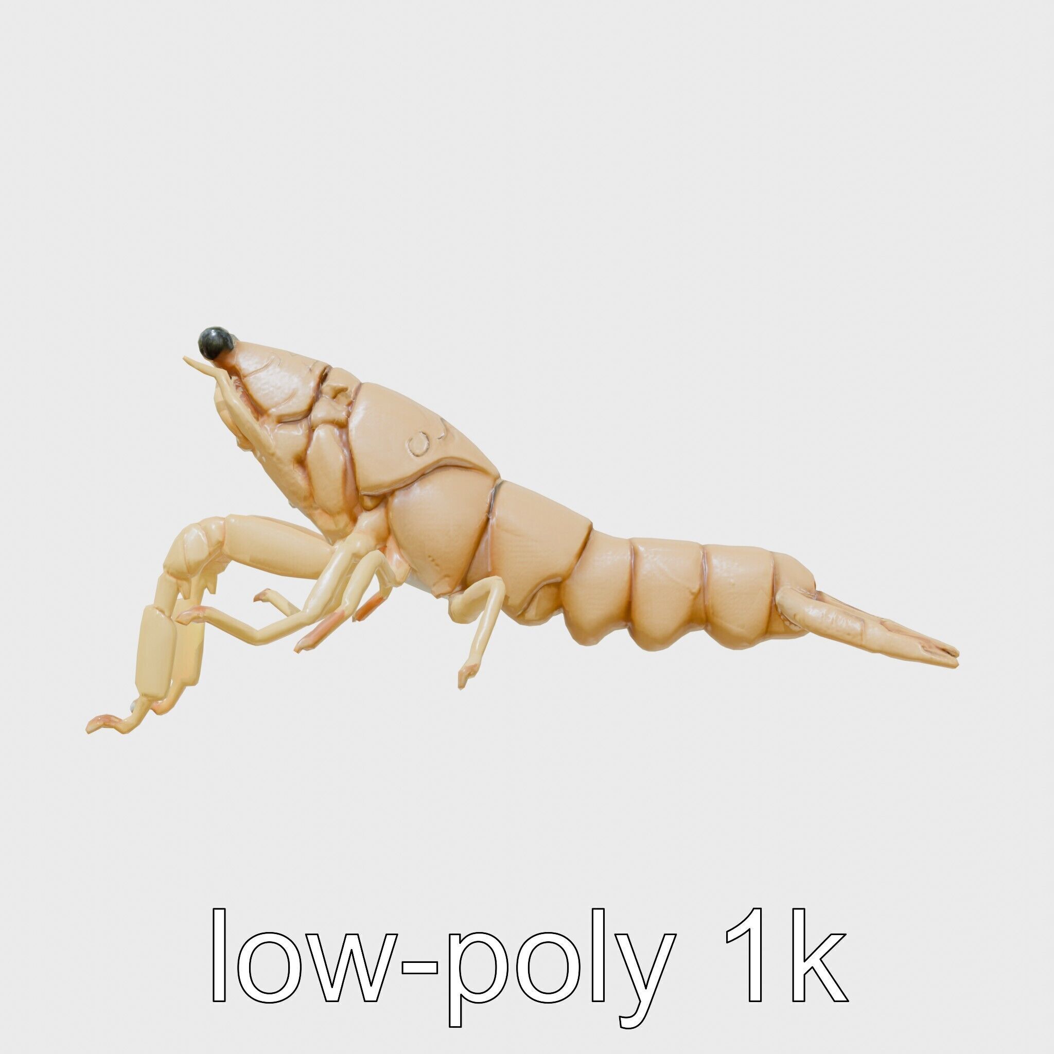 Decorator Crab Model with Camouflage Behavior Low-poly 3D model_13
