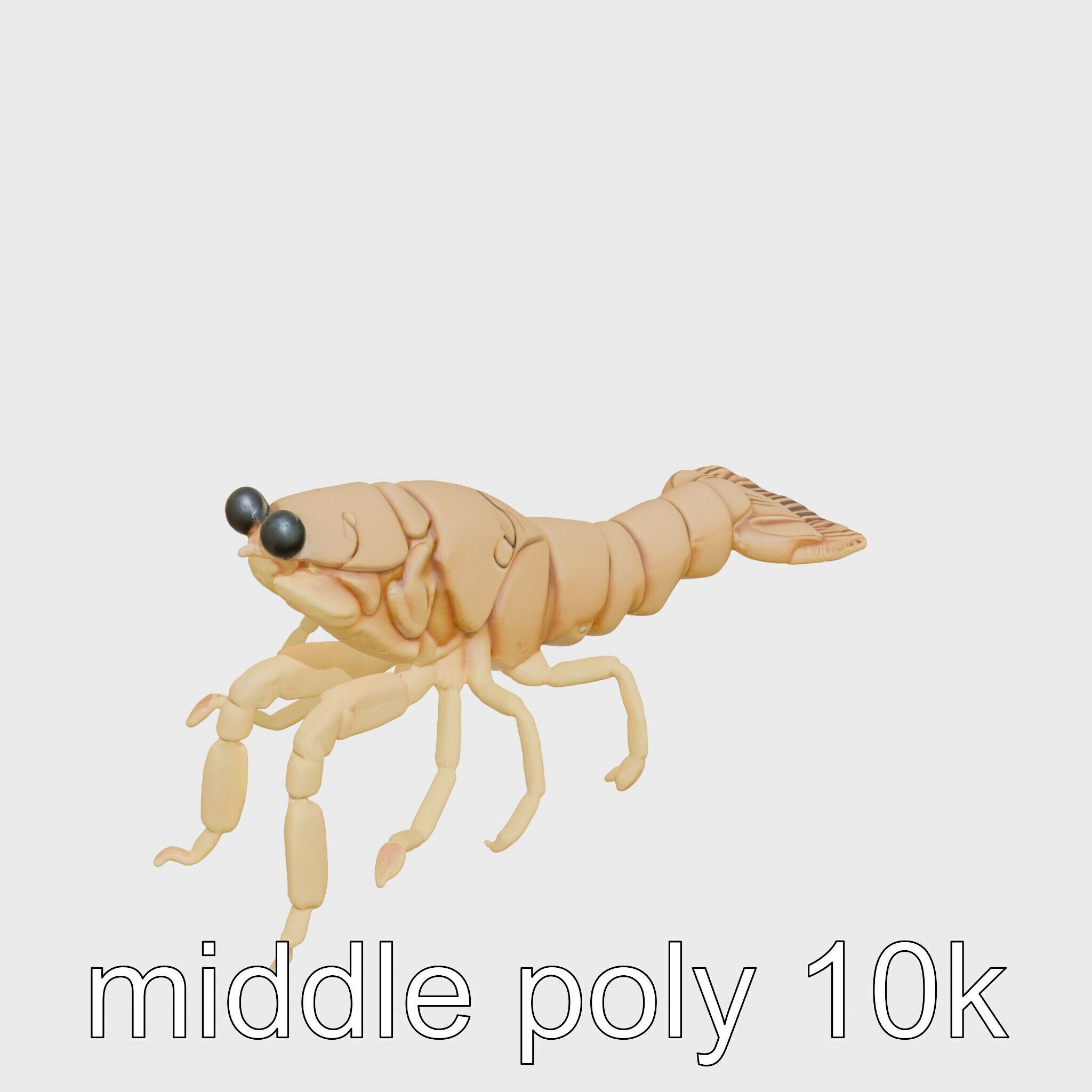 Decorator Crab Model with Camouflage Behavior Low-poly 3D model_8