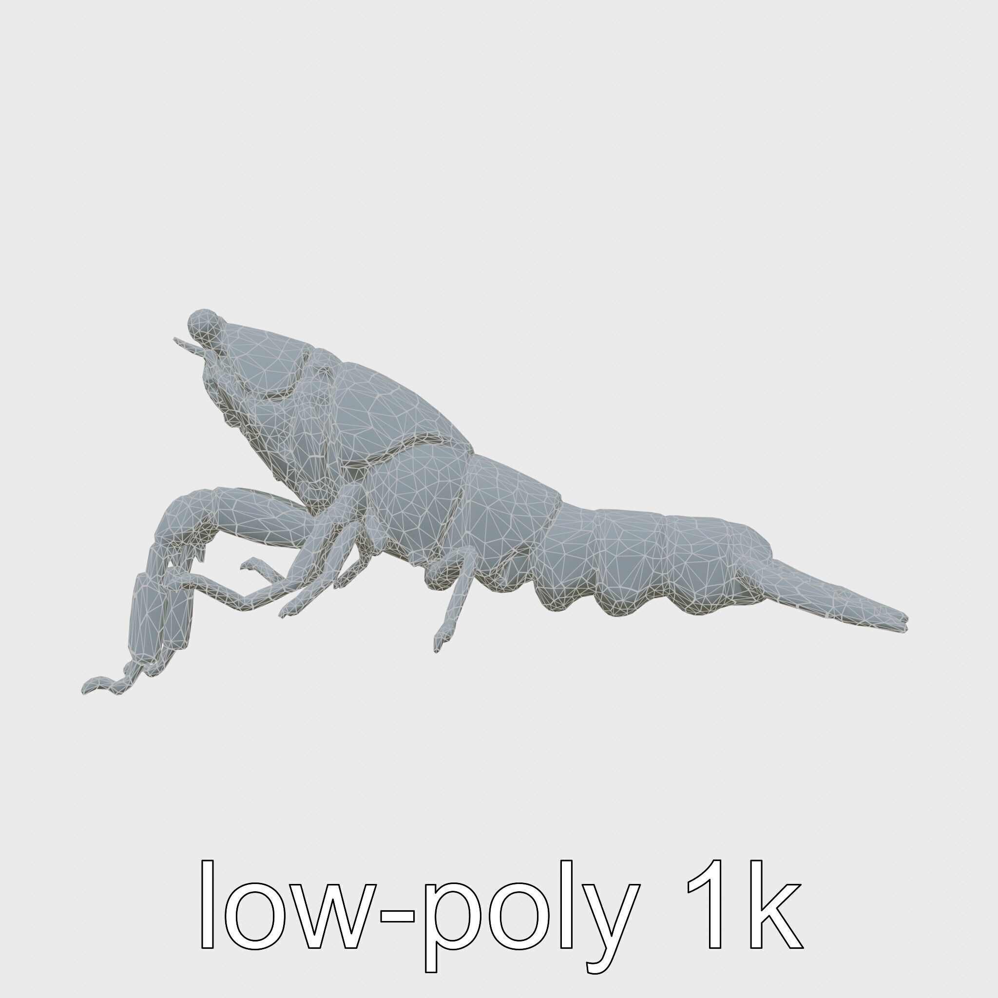 Decorator Crab Model with Camouflage Behavior Low-poly 3D model_22