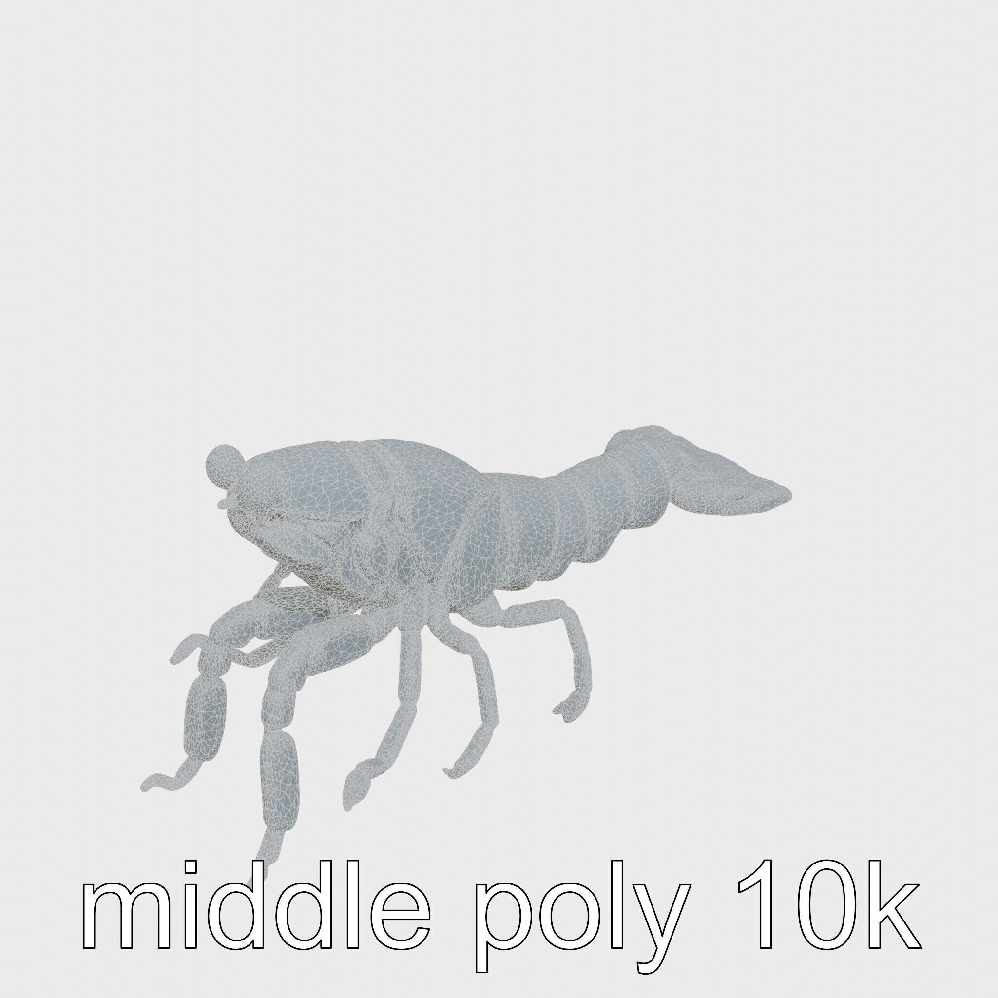 Decorator Crab Model with Camouflage Behavior Low-poly 3D model_16