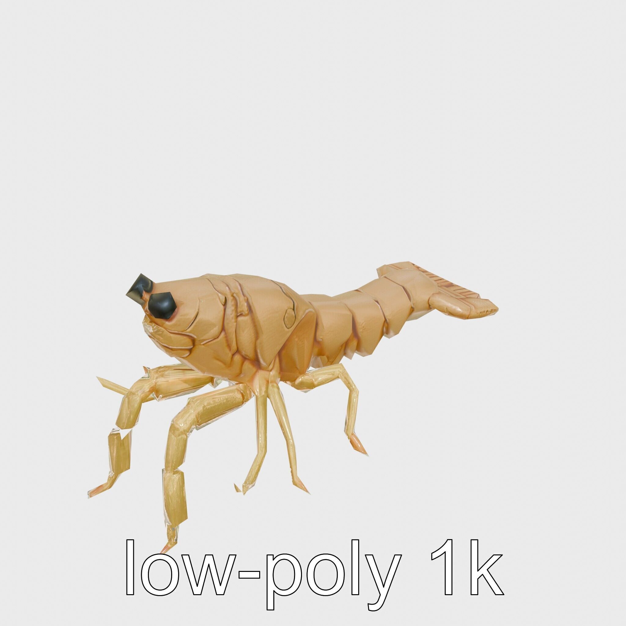 Decorator Crab Model with Camouflage Behavior Low-poly 3D model_26