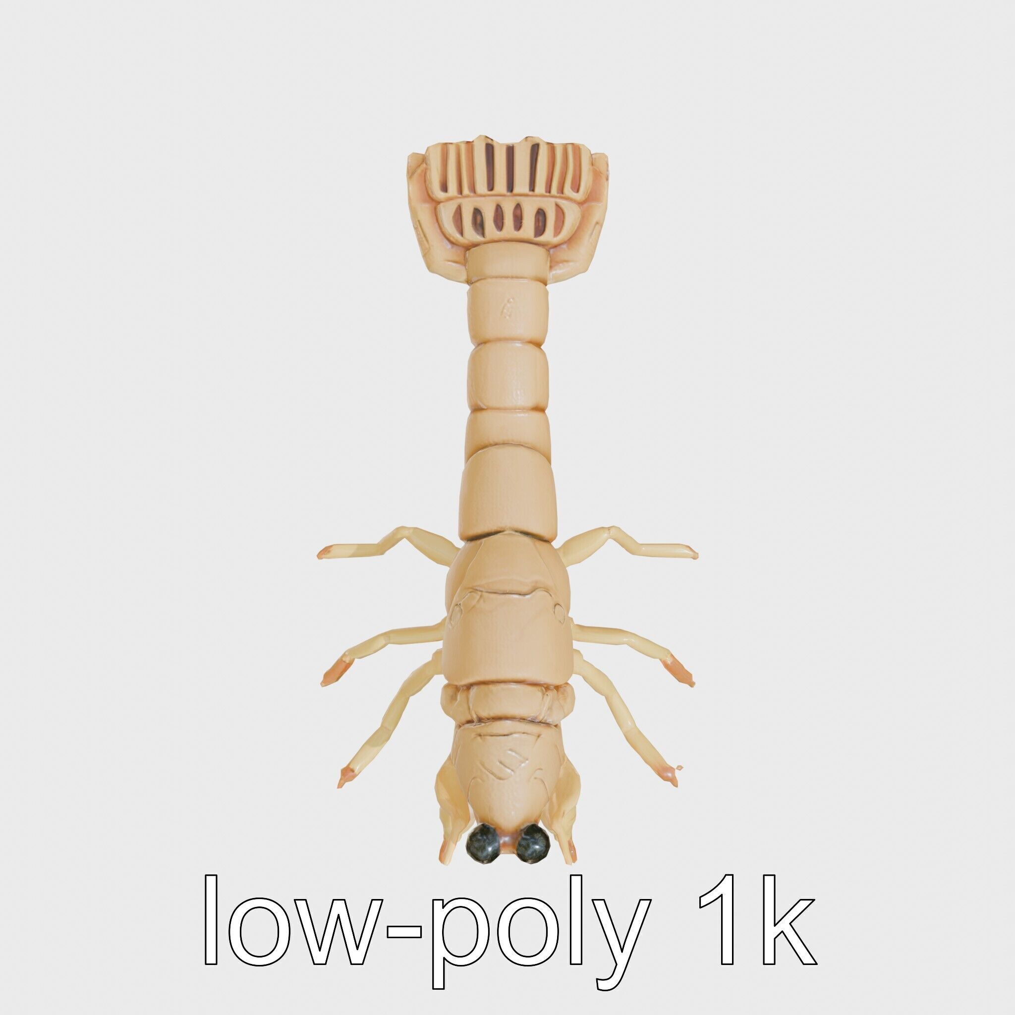Decorator Crab Model with Camouflage Behavior Low-poly 3D model_15