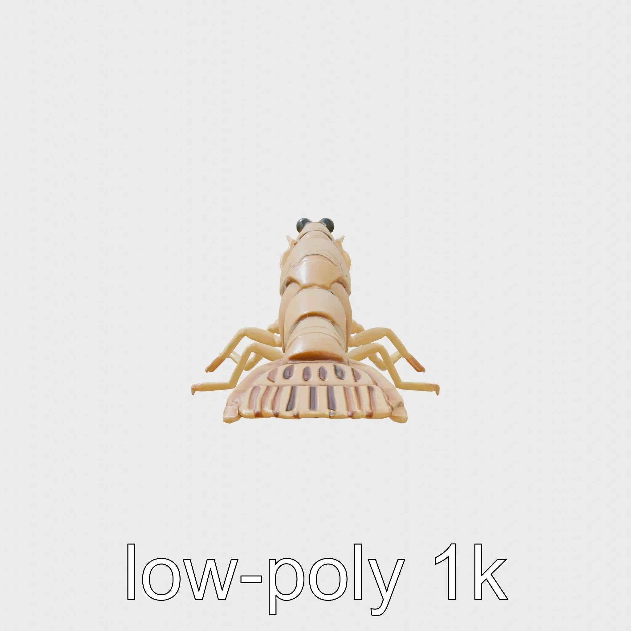 Decorator Crab Model with Camouflage Behavior Low-poly 3D model_0