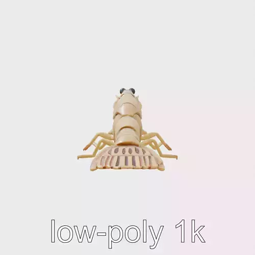 Decorator Crab Model with Camouflage Behavior Low-poly 3D model