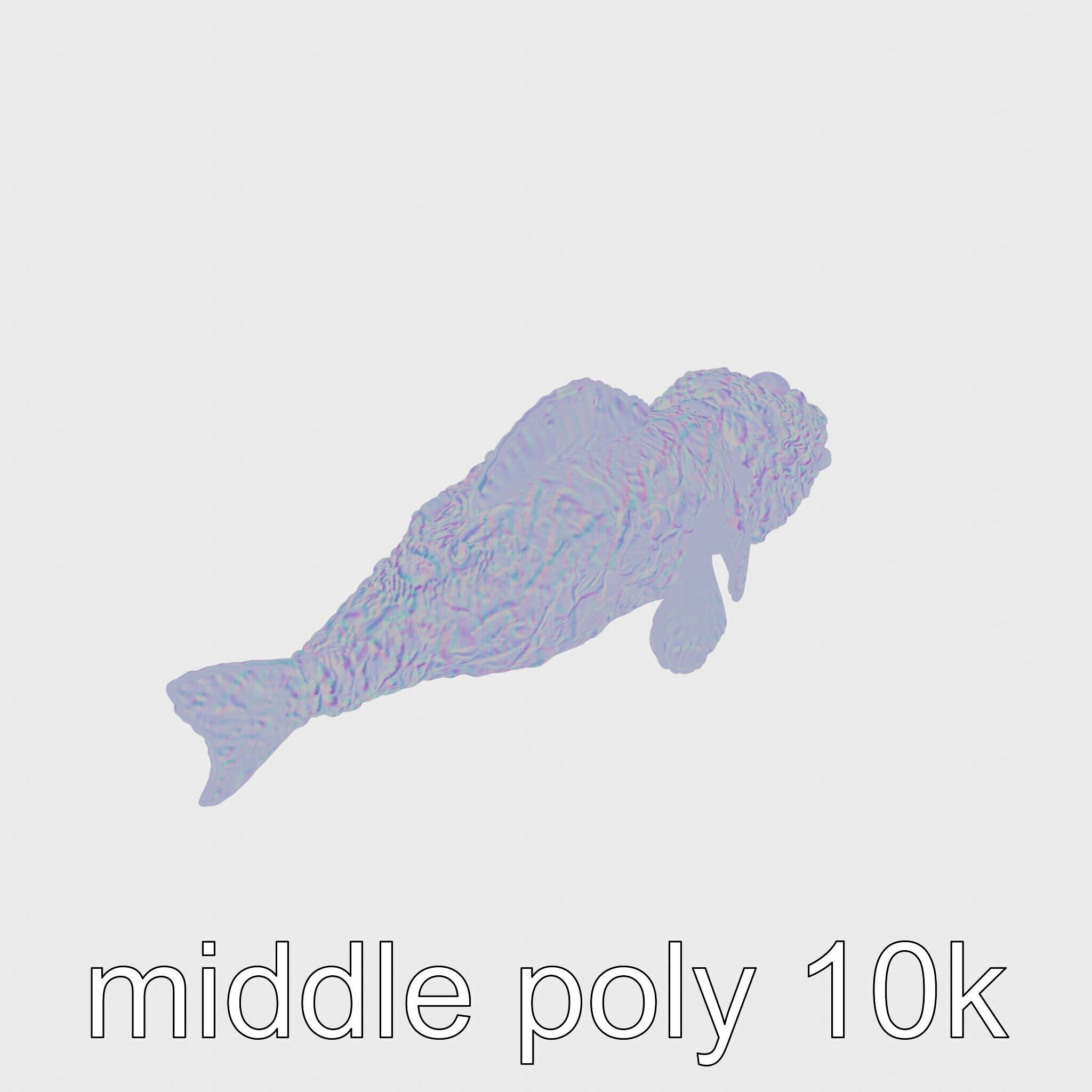 Stonefish Camouflaged Aquatic Creature Model Low-poly 3D model_27