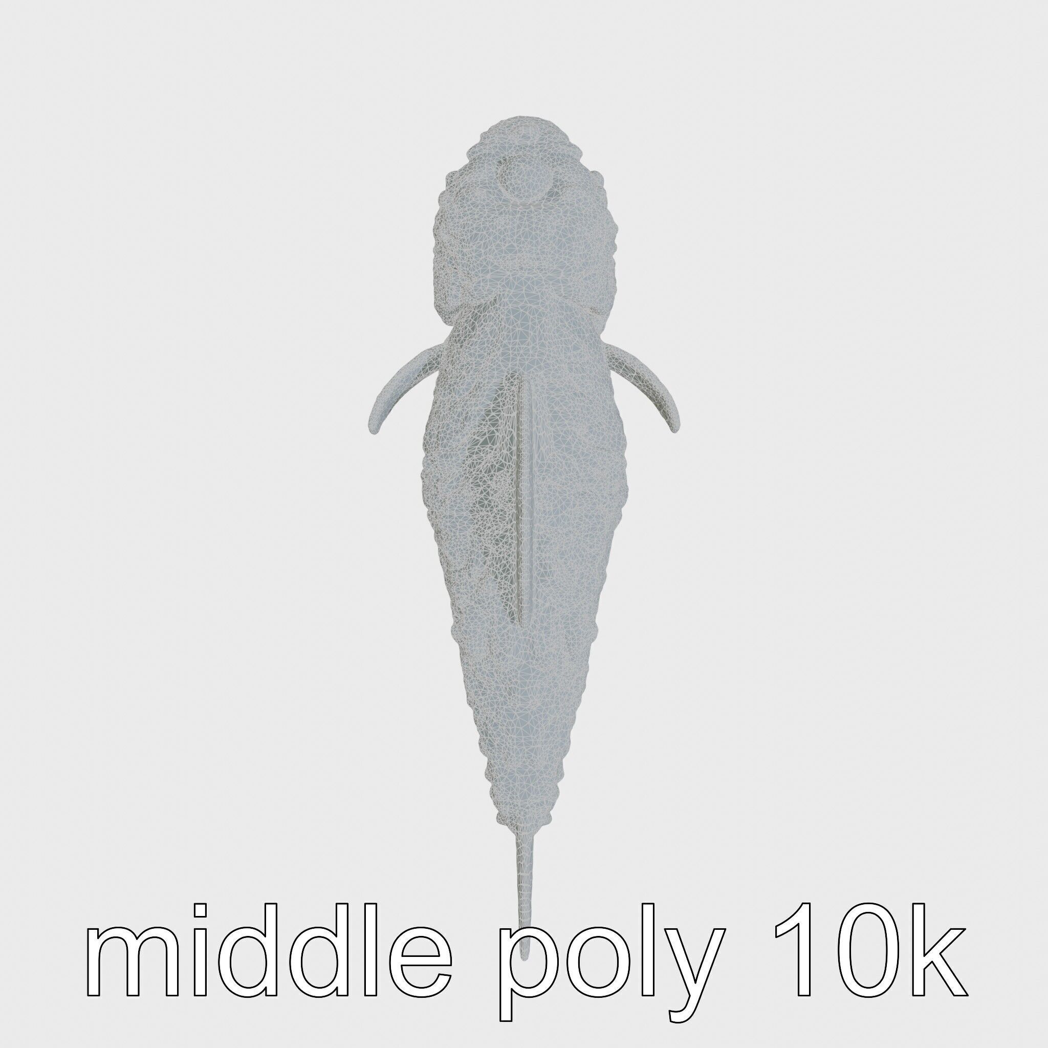 Stonefish Camouflaged Aquatic Creature Model Low-poly 3D model_20