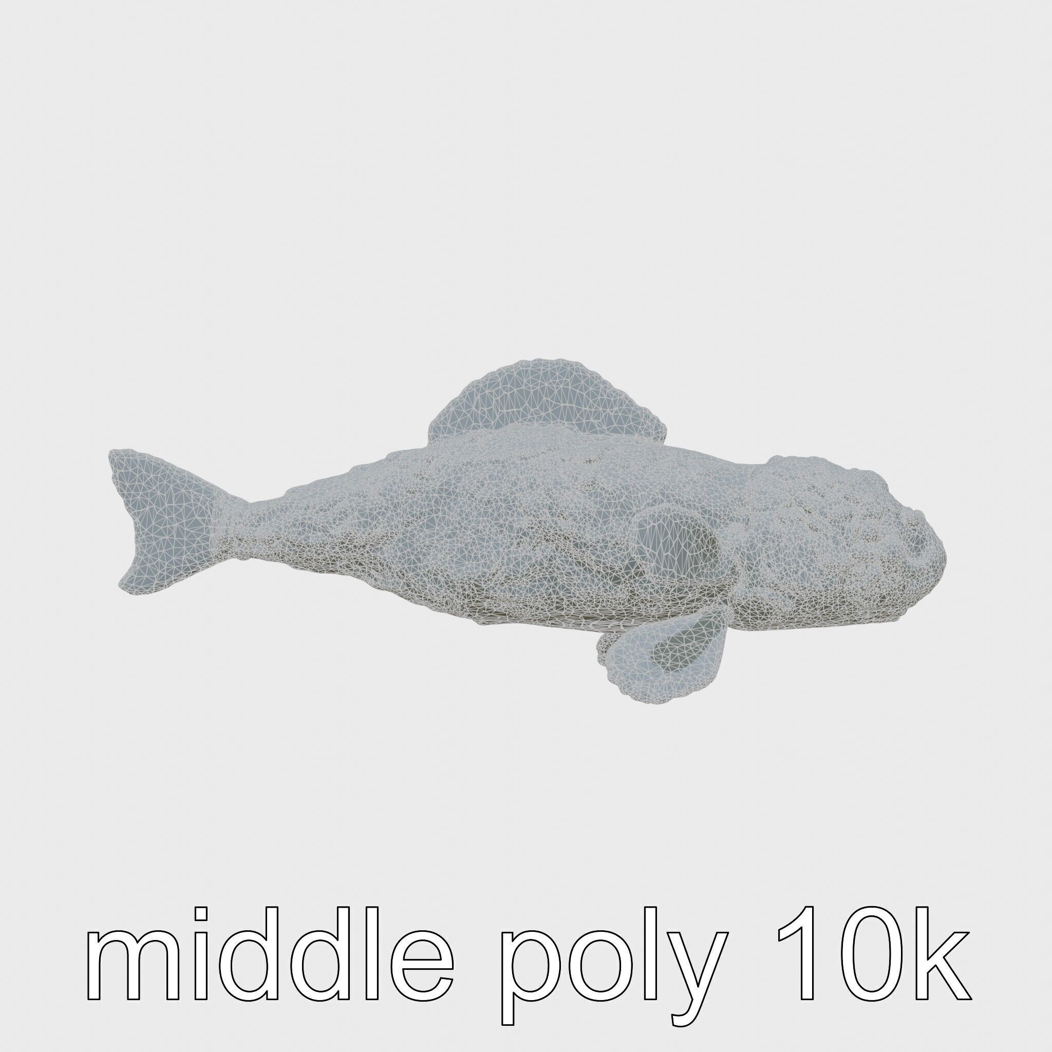 Stonefish Camouflaged Aquatic Creature Model Low-poly 3D model_8