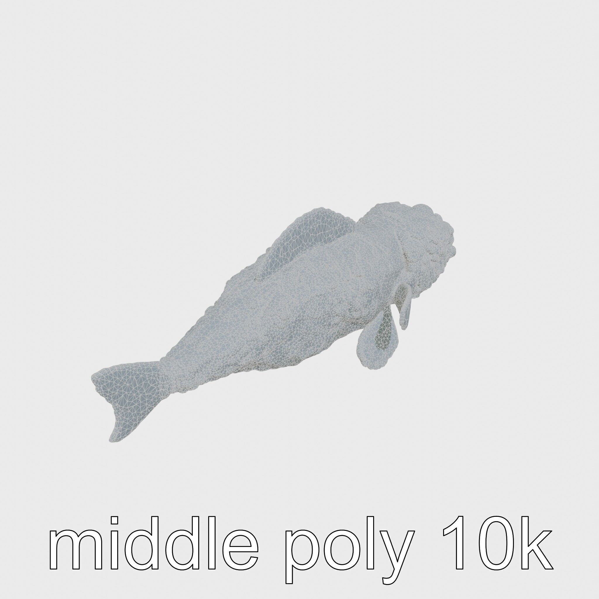 Stonefish Camouflaged Aquatic Creature Model Low-poly 3D model_21