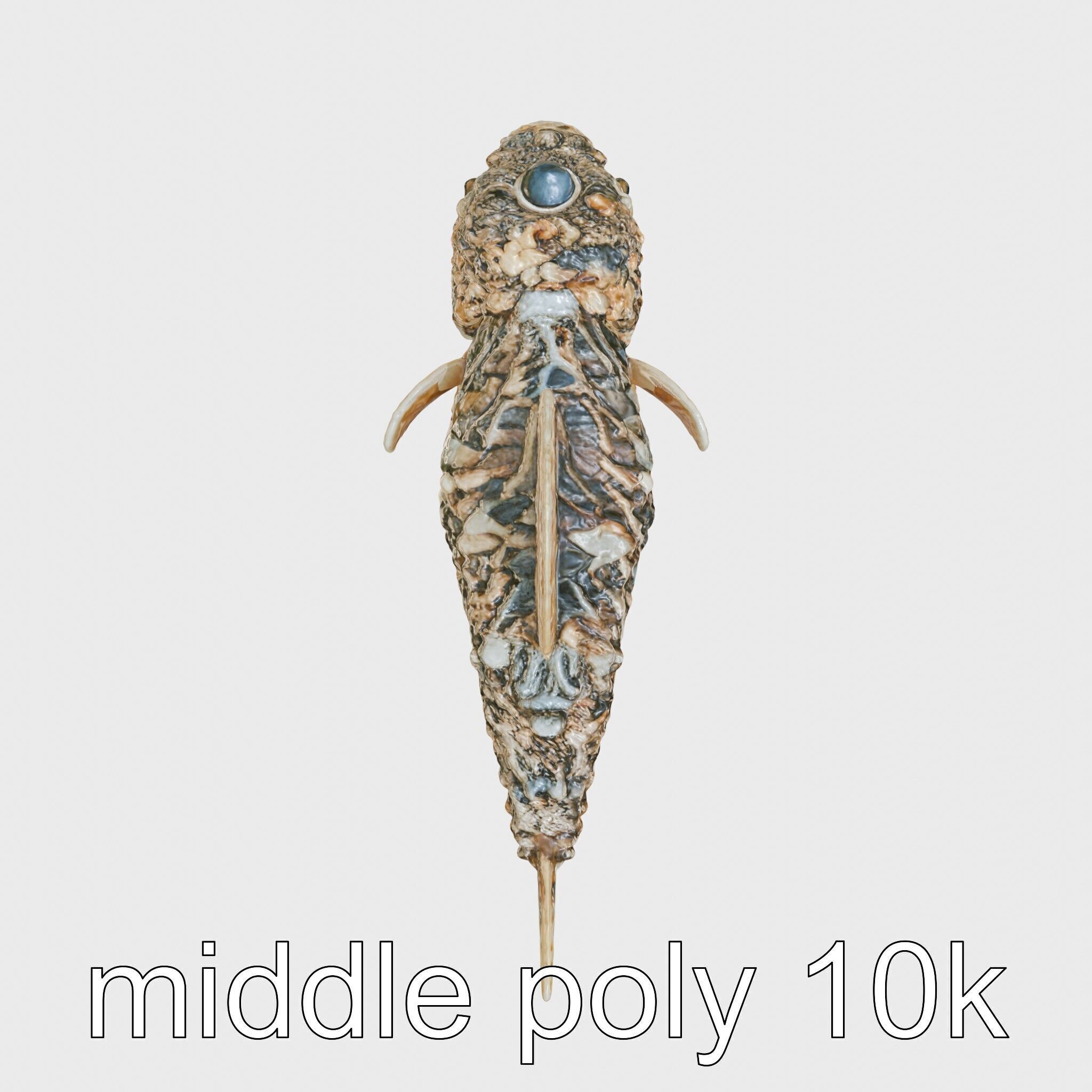 Stonefish Camouflaged Aquatic Creature Model Low-poly 3D model_12