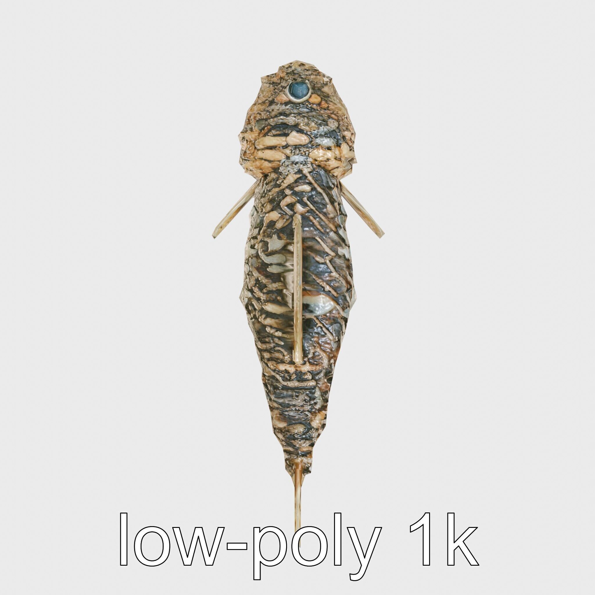 Stonefish Camouflaged Aquatic Creature Model Low-poly 3D model_23