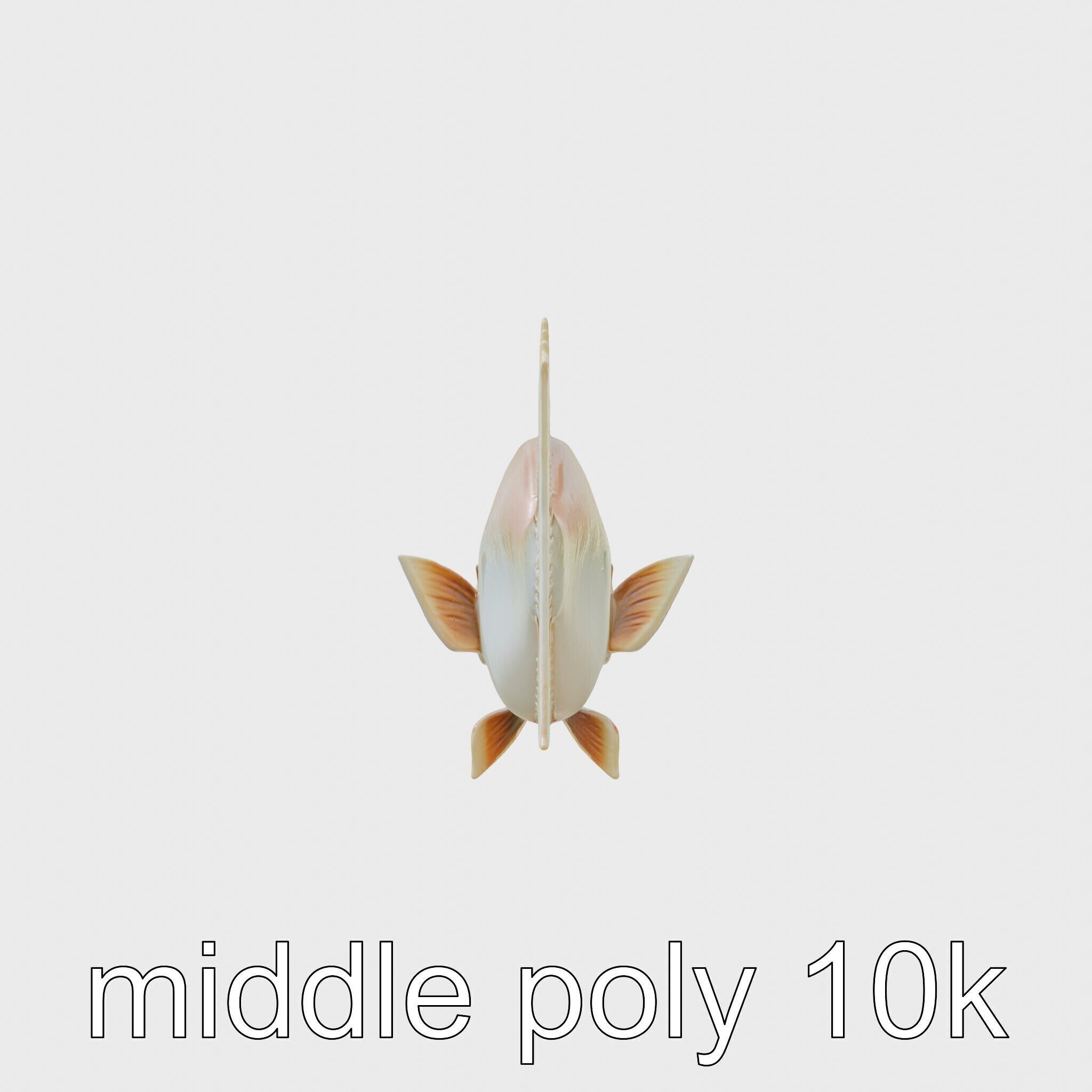 Ocean Sunfish With Flattened Body and Large Fins 3D Model Low-poly 3D model_24