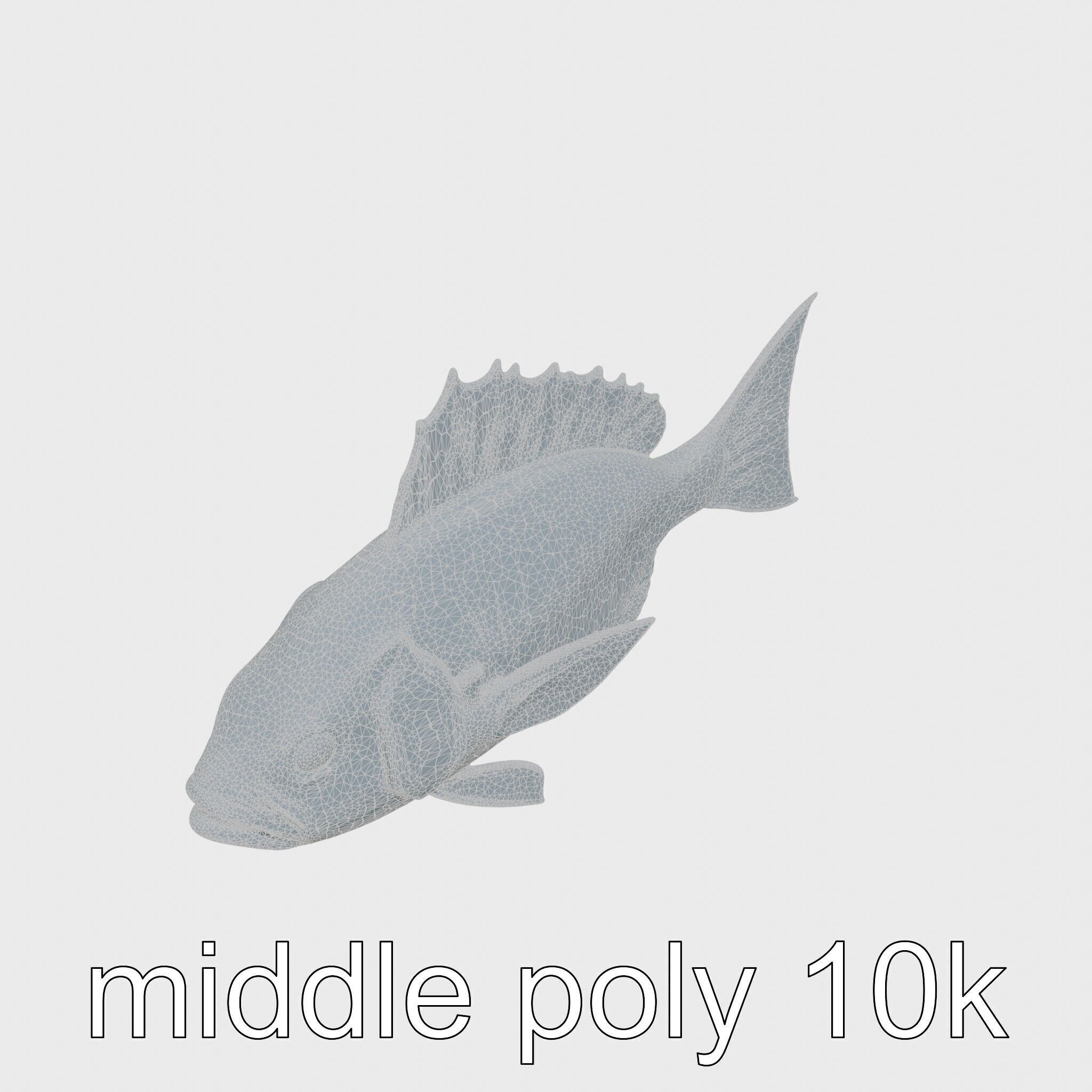 Ocean Sunfish With Flattened Body and Large Fins 3D Model Low-poly 3D model_30