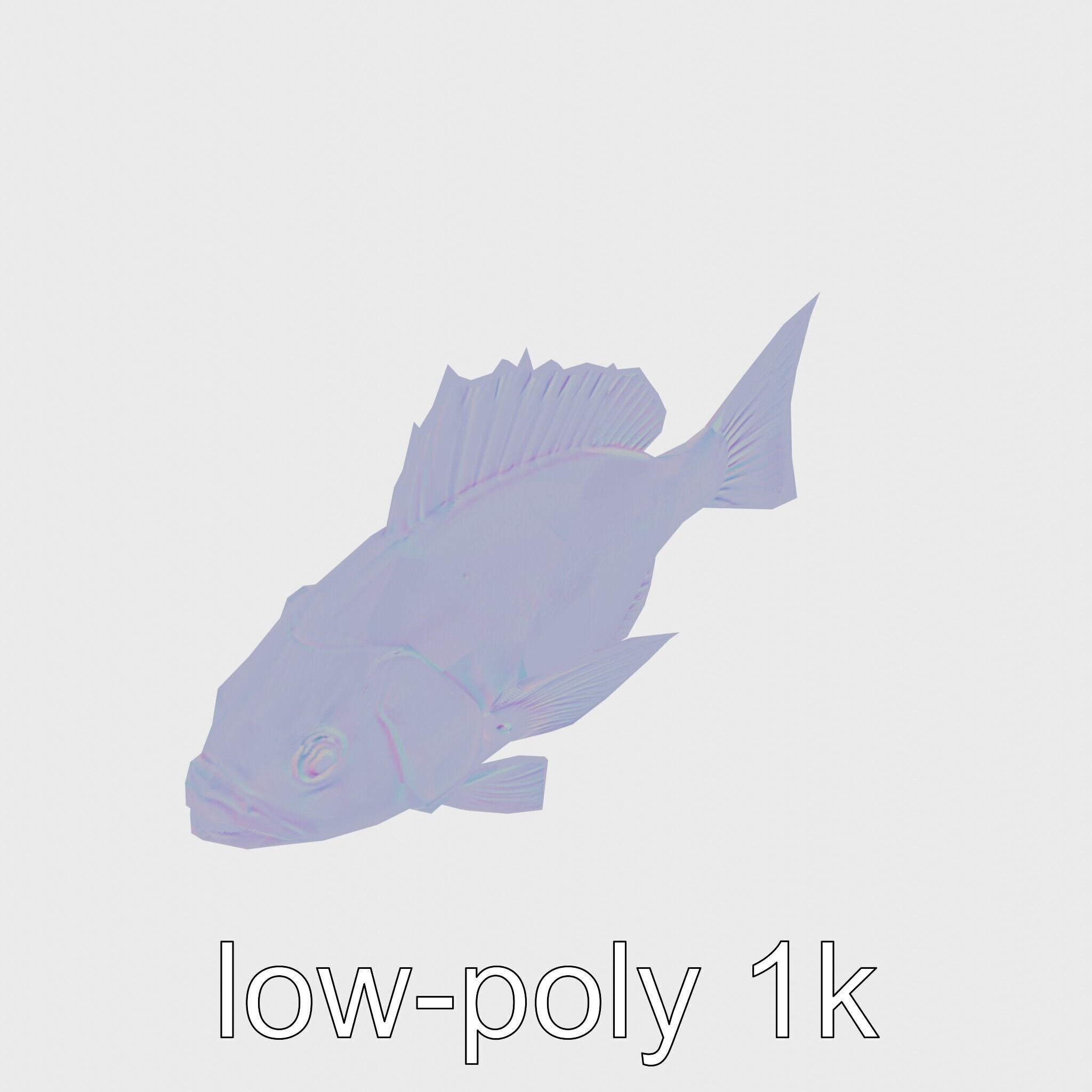 Ocean Sunfish With Flattened Body and Large Fins 3D Model Low-poly 3D model_23
