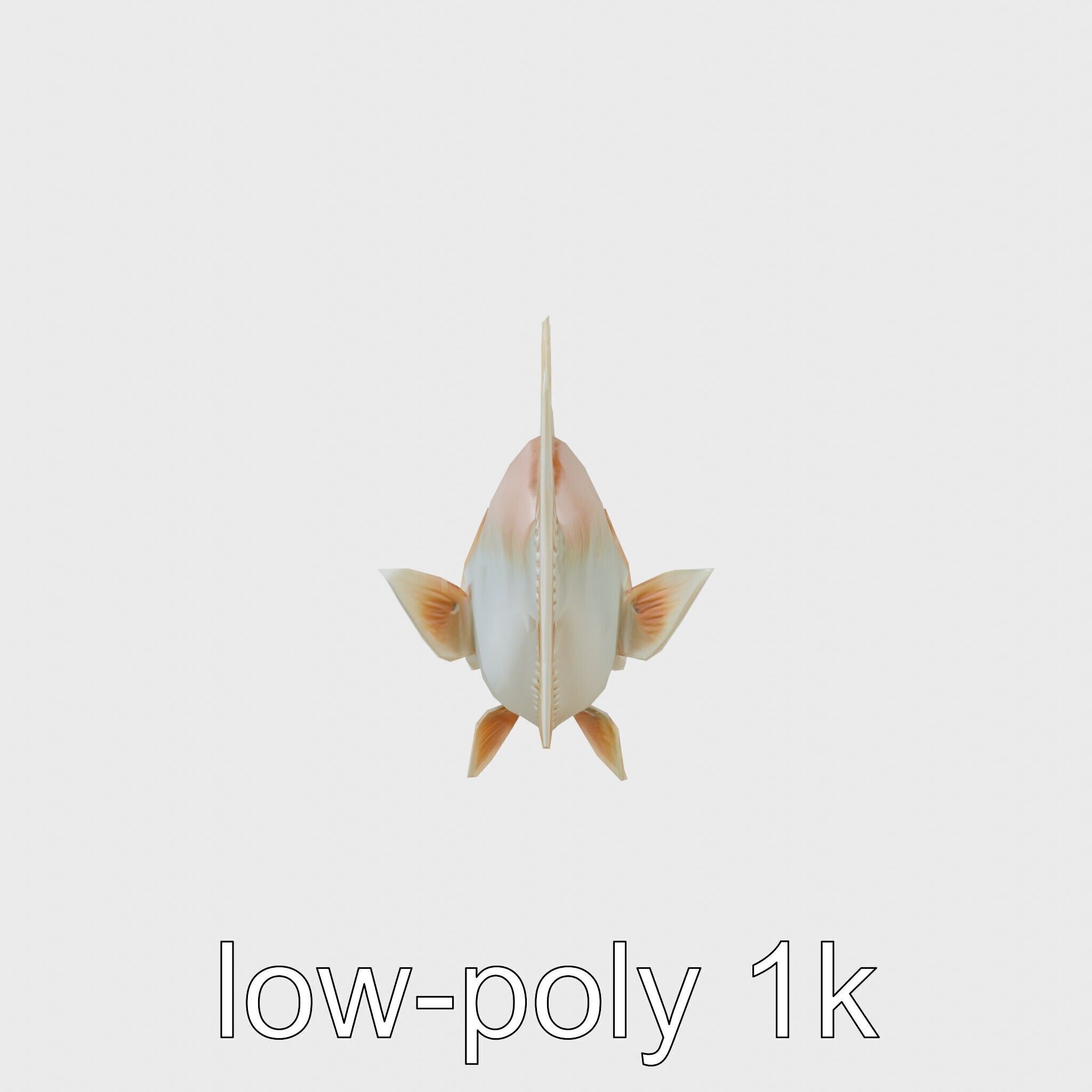 Ocean Sunfish With Flattened Body and Large Fins 3D Model Low-poly 3D model_4