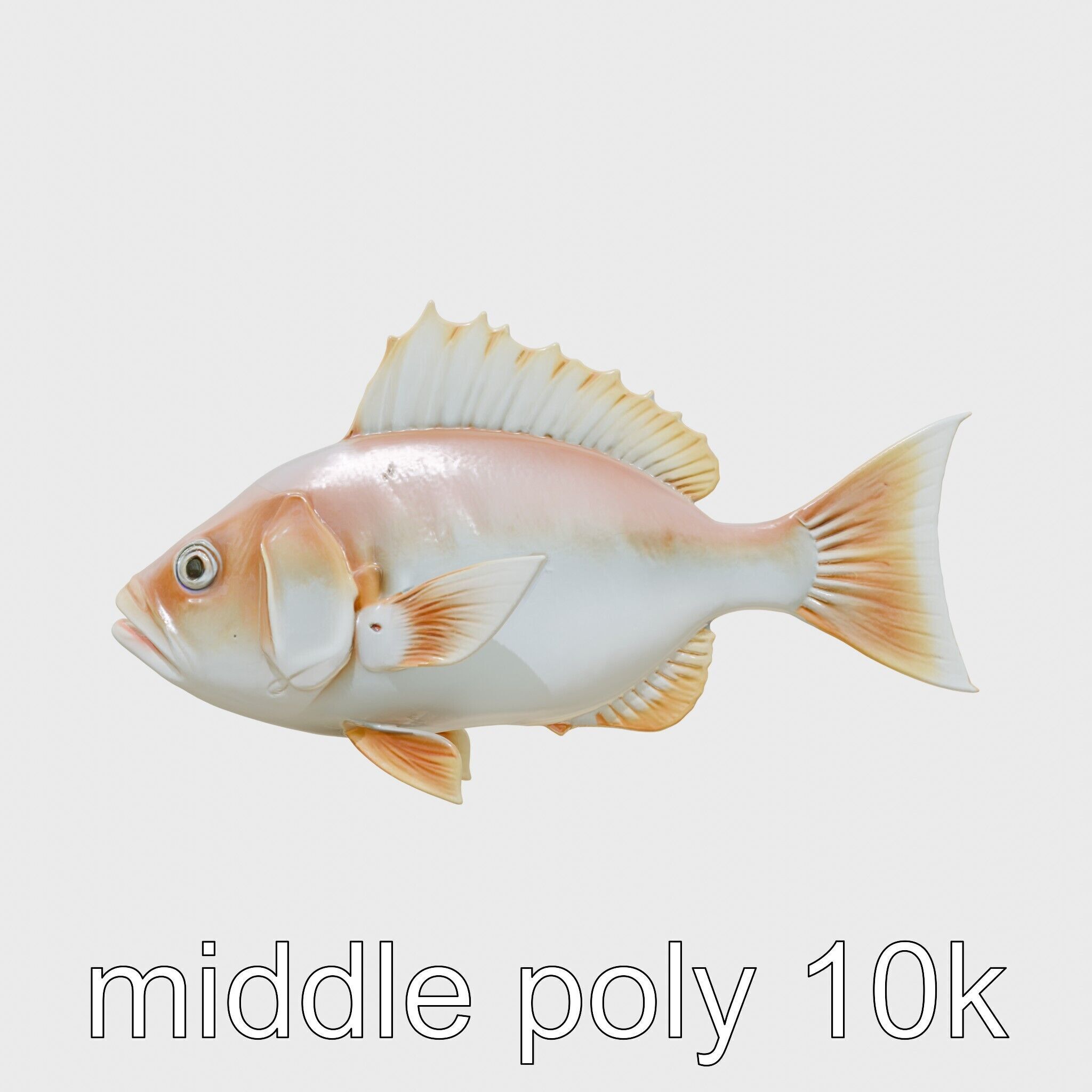 Ocean Sunfish With Flattened Body and Large Fins 3D Model Low-poly 3D model_2