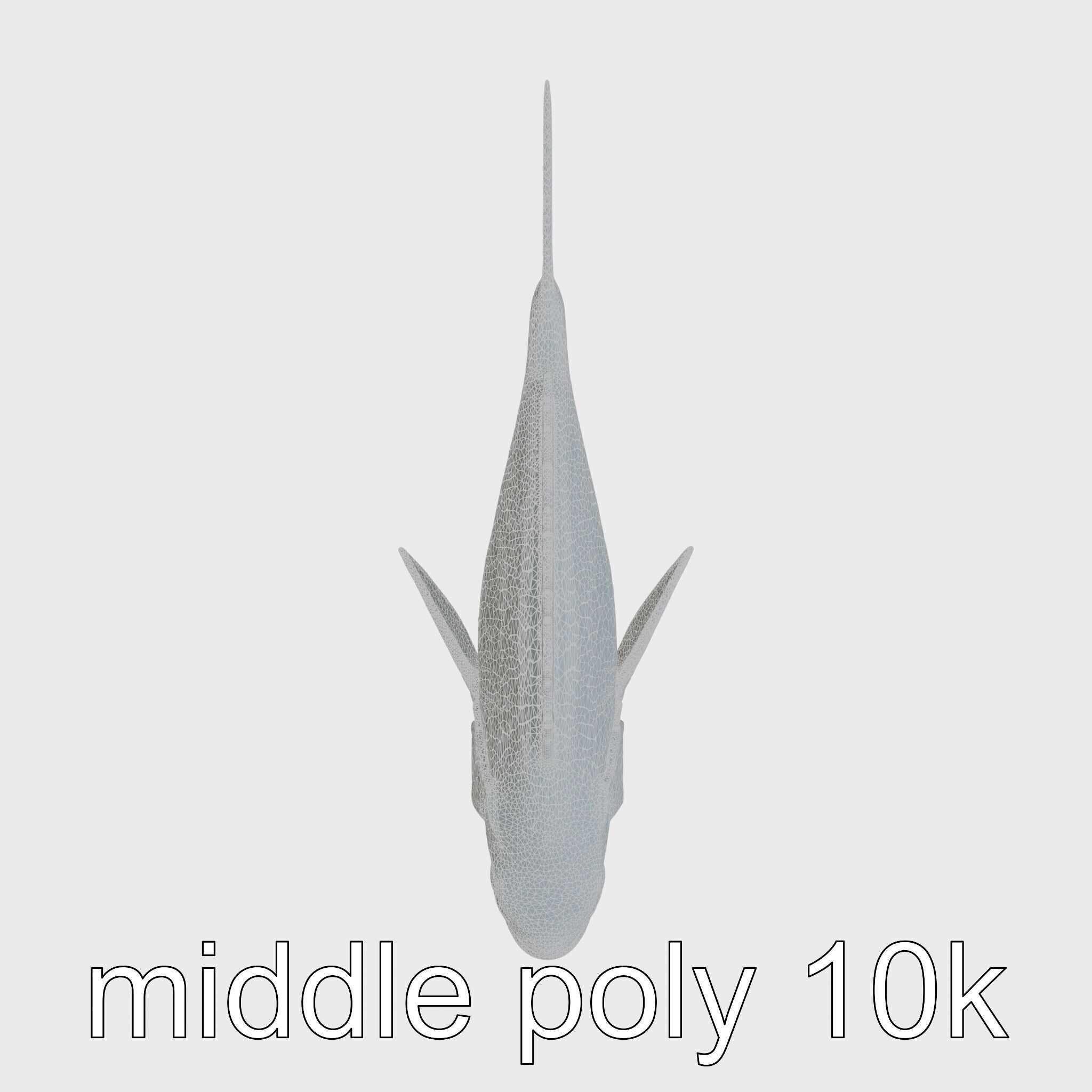 Ocean Sunfish With Flattened Body and Large Fins 3D Model Low-poly 3D model_10