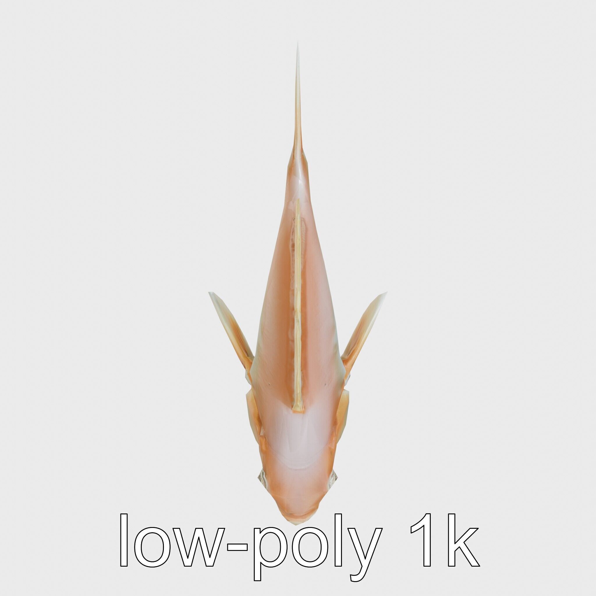 Ocean Sunfish With Flattened Body and Large Fins 3D Model Low-poly 3D model_13