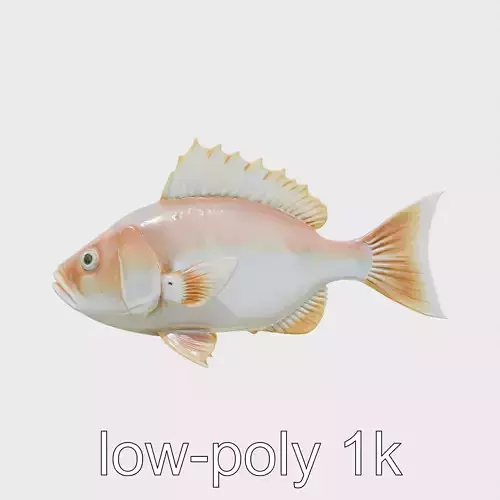 Ocean Sunfish With Flattened Body and Large Fins 3D Model Low-poly 3D model
