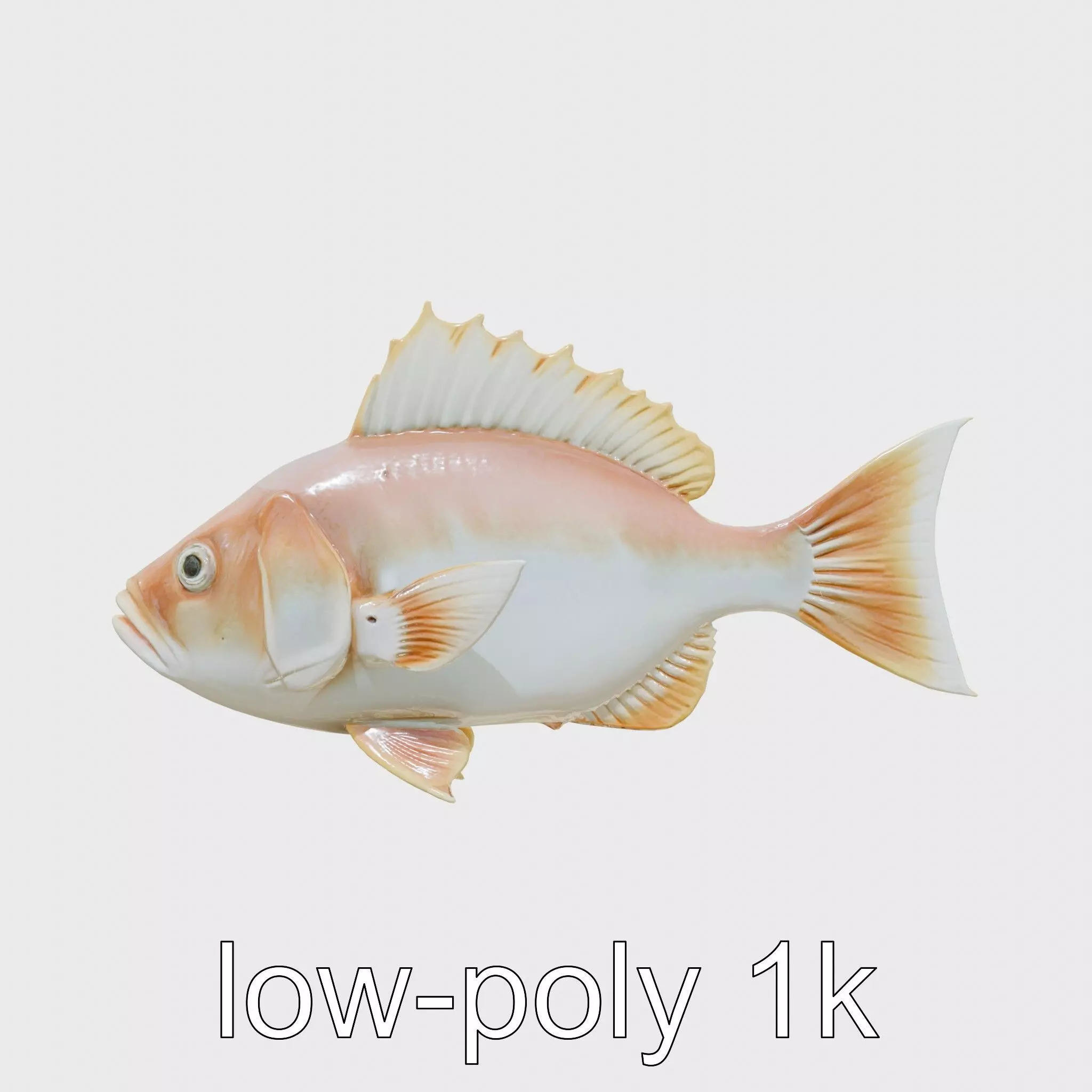 Ocean Sunfish With Flattened Body and Large Fins 3D Model Low-poly 3D model_0