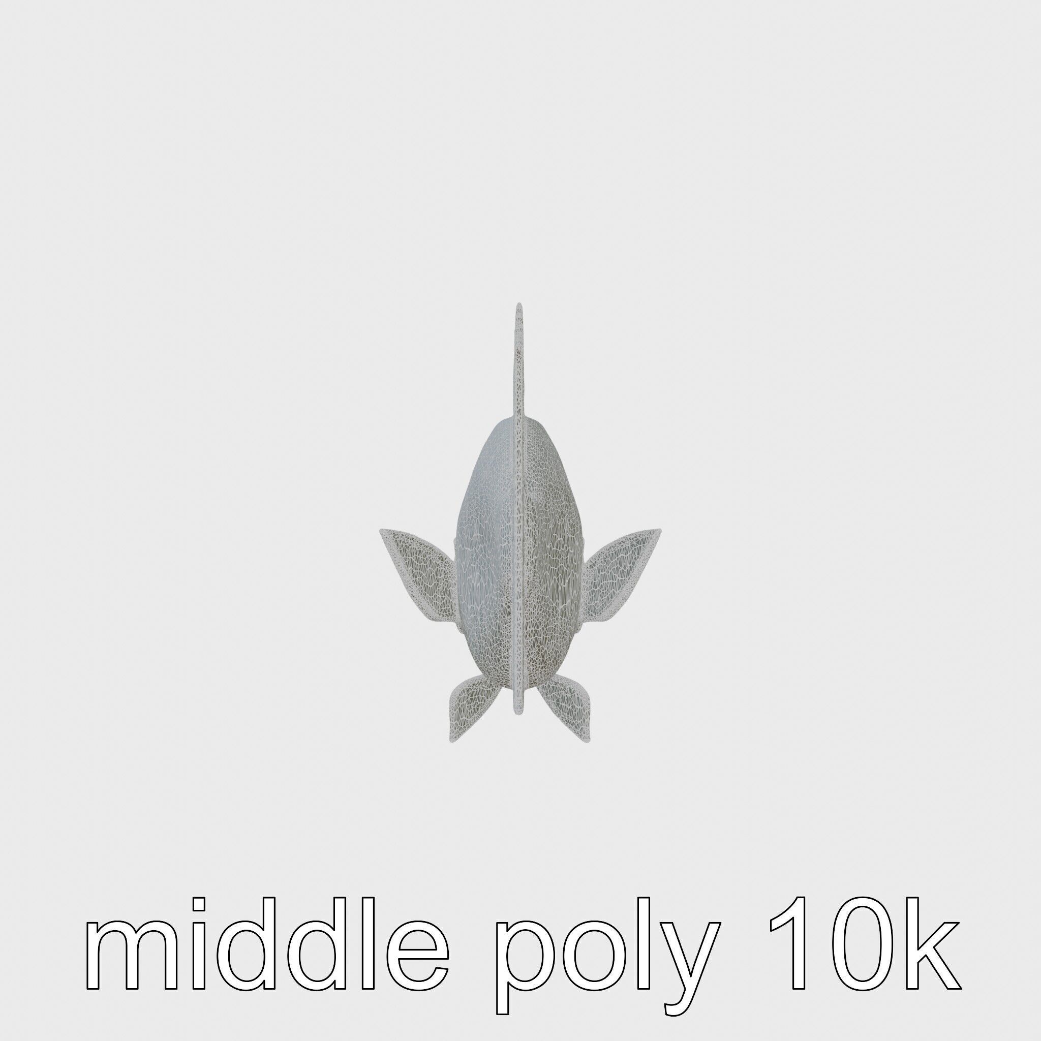 Ocean Sunfish With Flattened Body and Large Fins 3D Model Low-poly 3D model_11