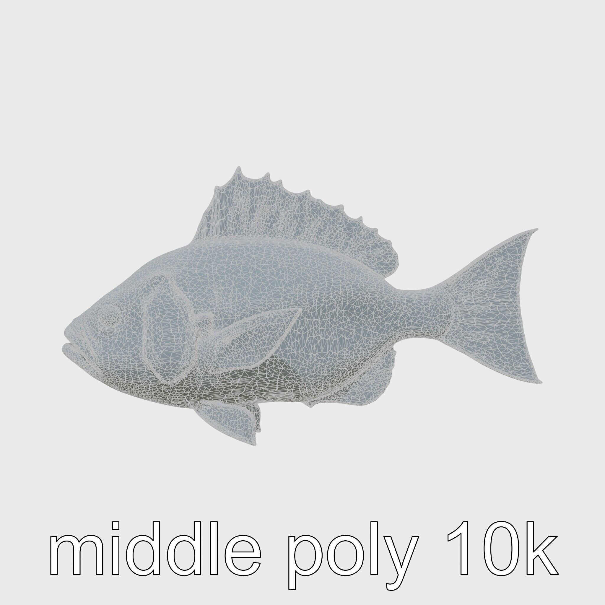 Ocean Sunfish With Flattened Body and Large Fins 3D Model Low-poly 3D model_5