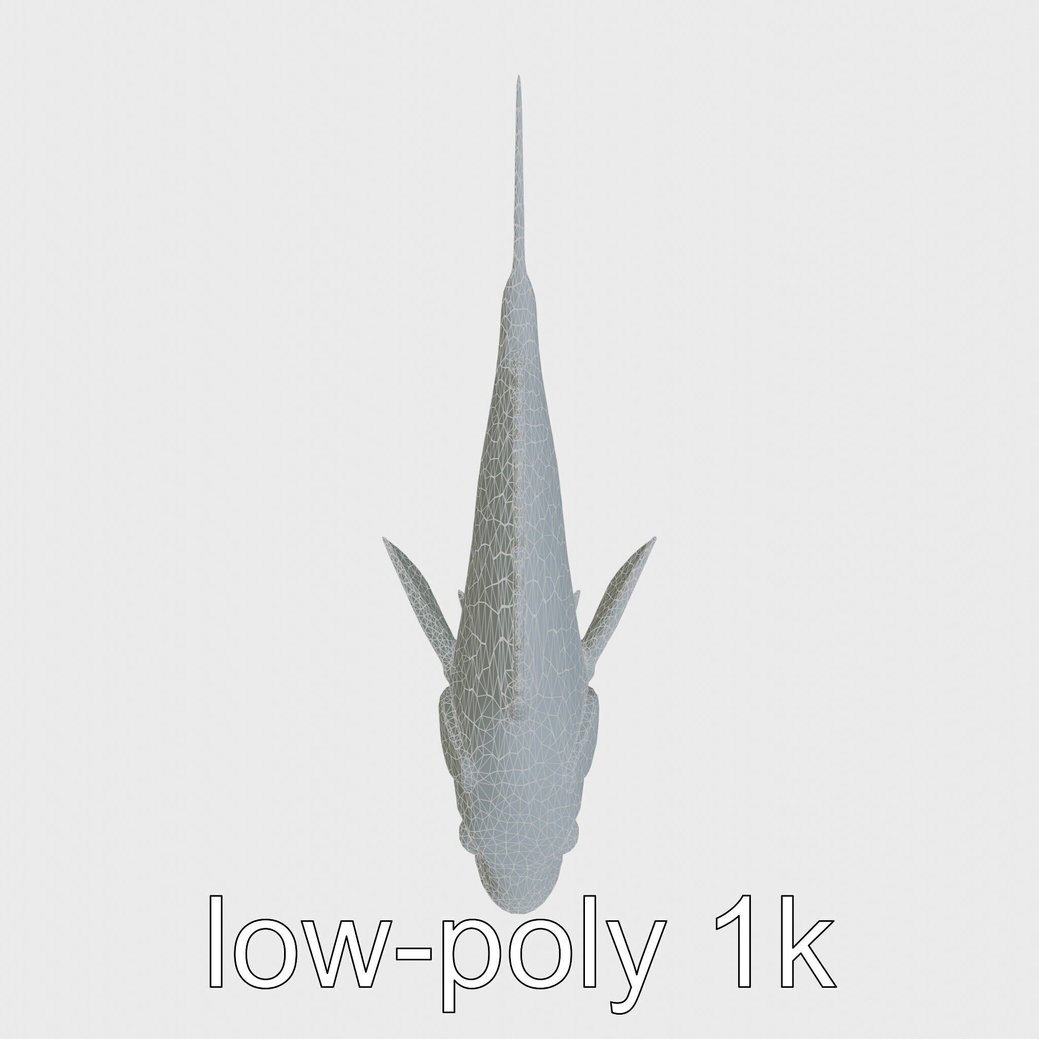 Ocean Sunfish With Flattened Body and Large Fins 3D Model Low-poly 3D model_22
