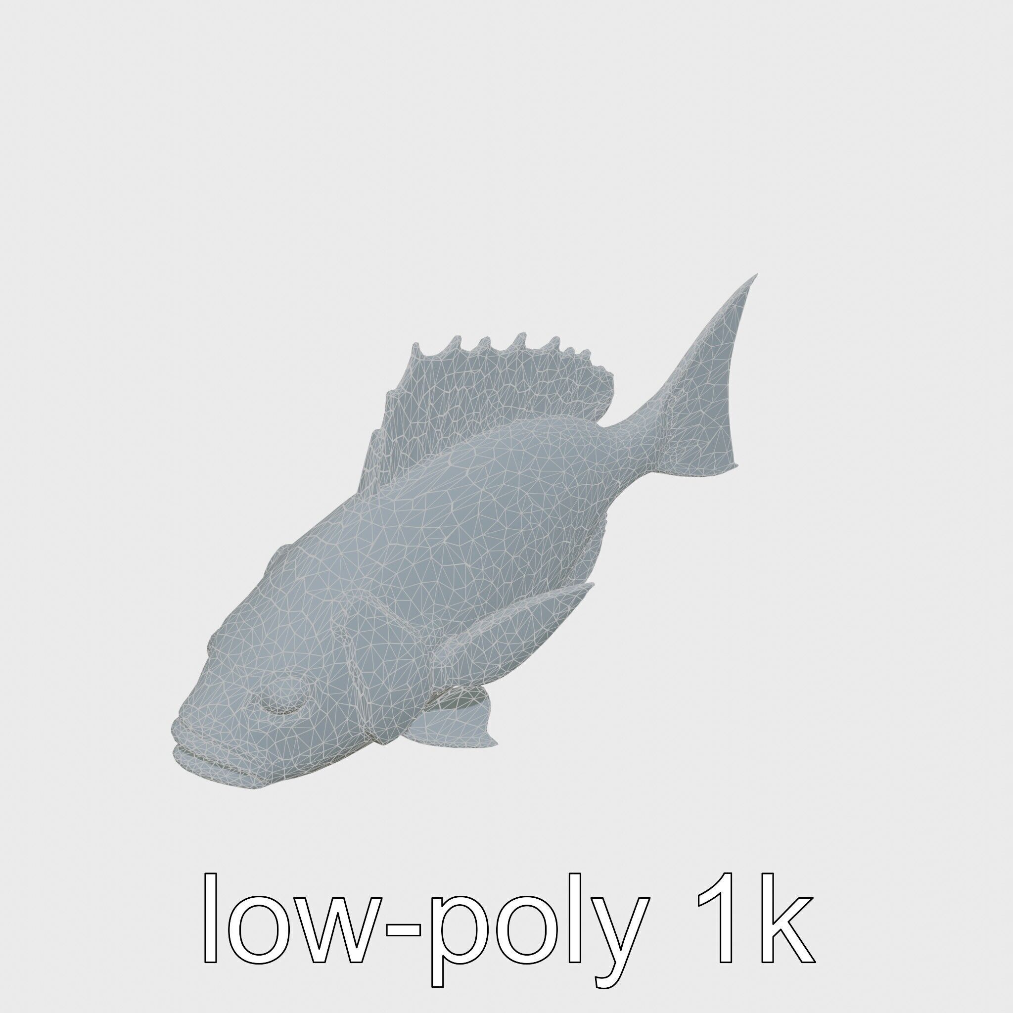 Ocean Sunfish With Flattened Body and Large Fins 3D Model Low-poly 3D model_28
