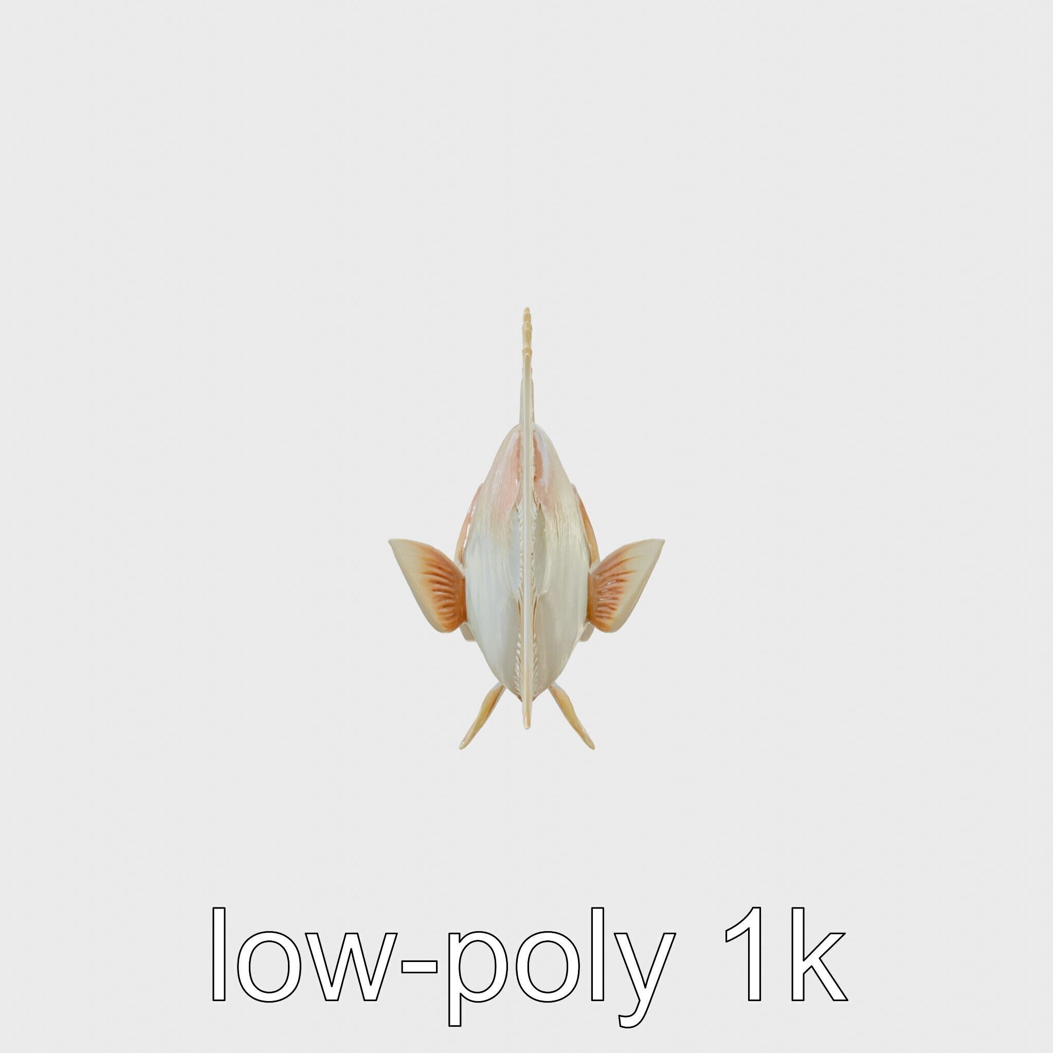 Ocean Sunfish With Flattened Body and Large Fins 3D Model Low-poly 3D model_15