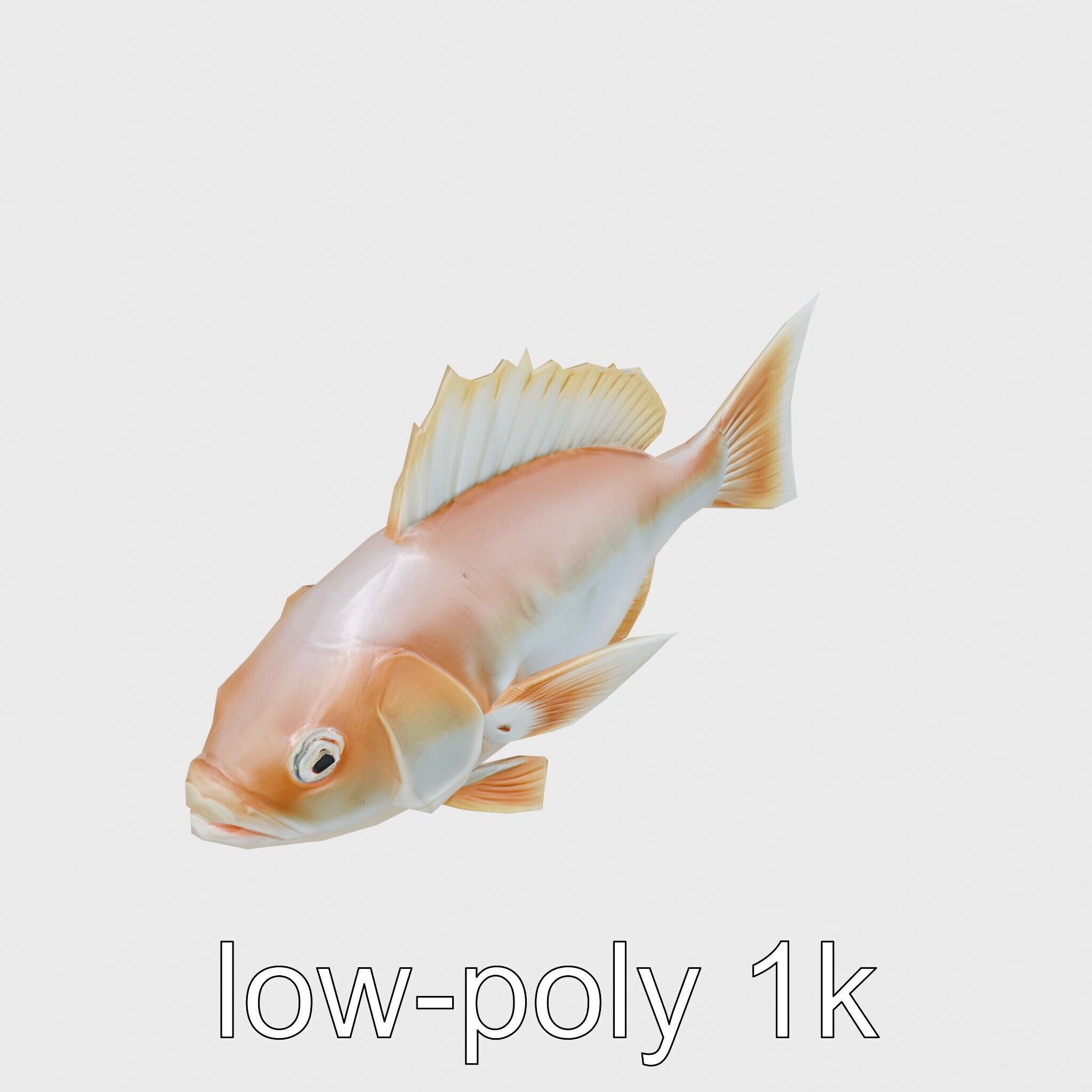 Ocean Sunfish With Flattened Body and Large Fins 3D Model Low-poly 3D model_26