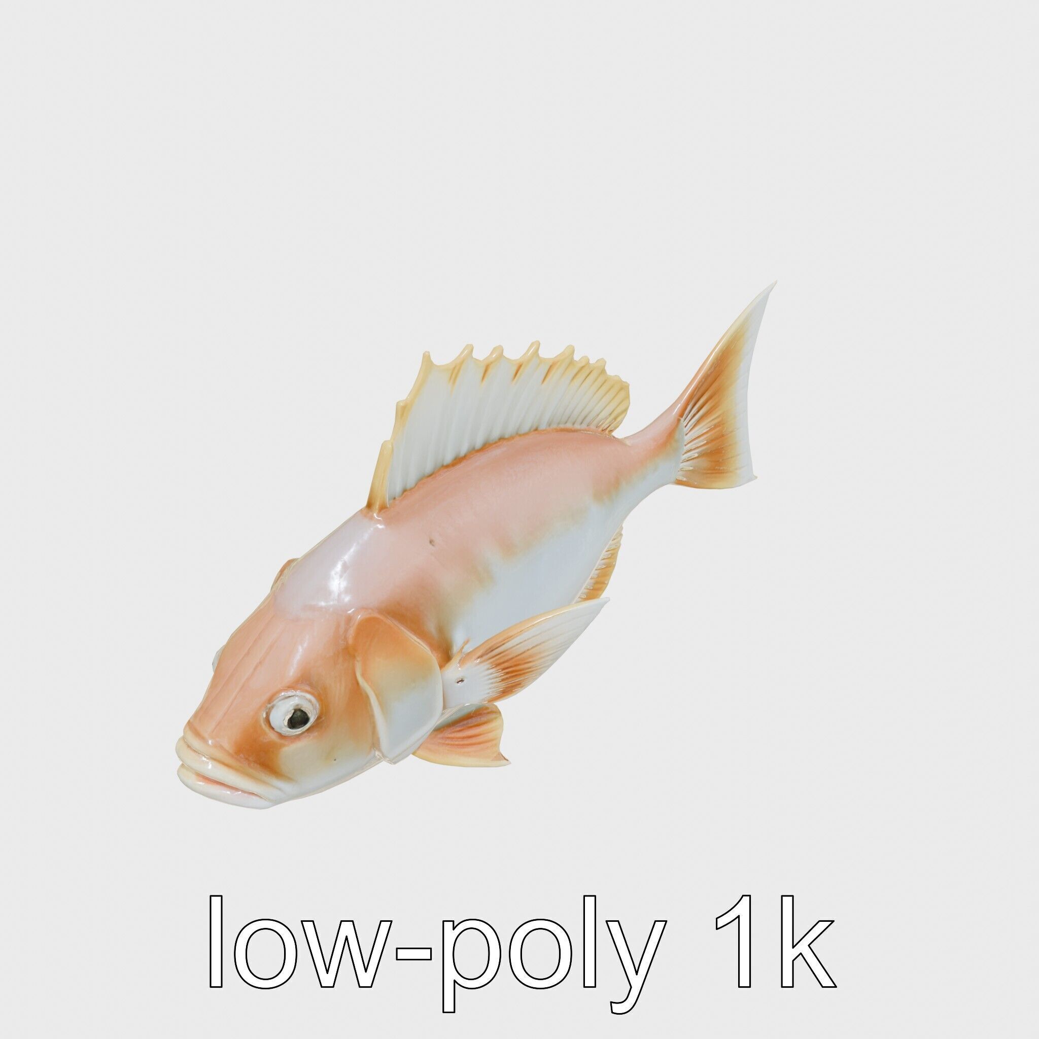 Ocean Sunfish With Flattened Body and Large Fins 3D Model Low-poly 3D model_25