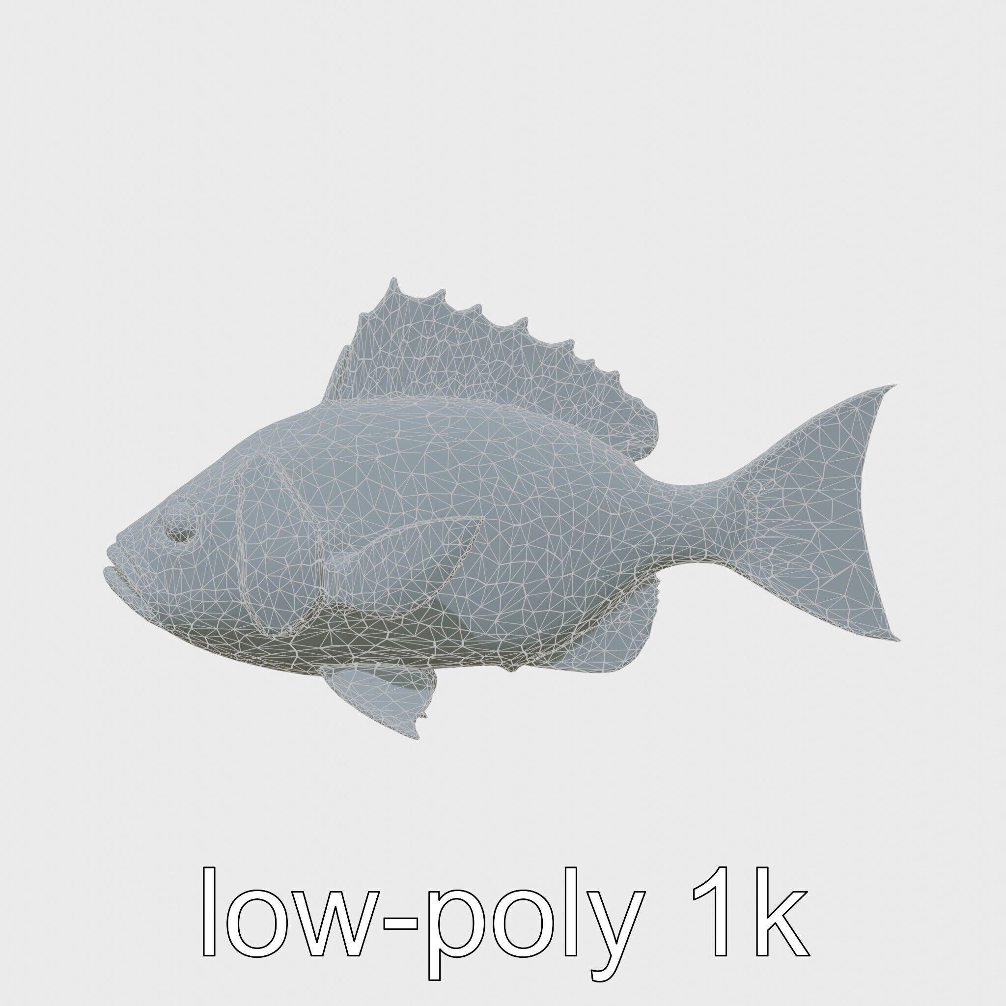 Ocean Sunfish With Flattened Body and Large Fins 3D Model Low-poly 3D model_6