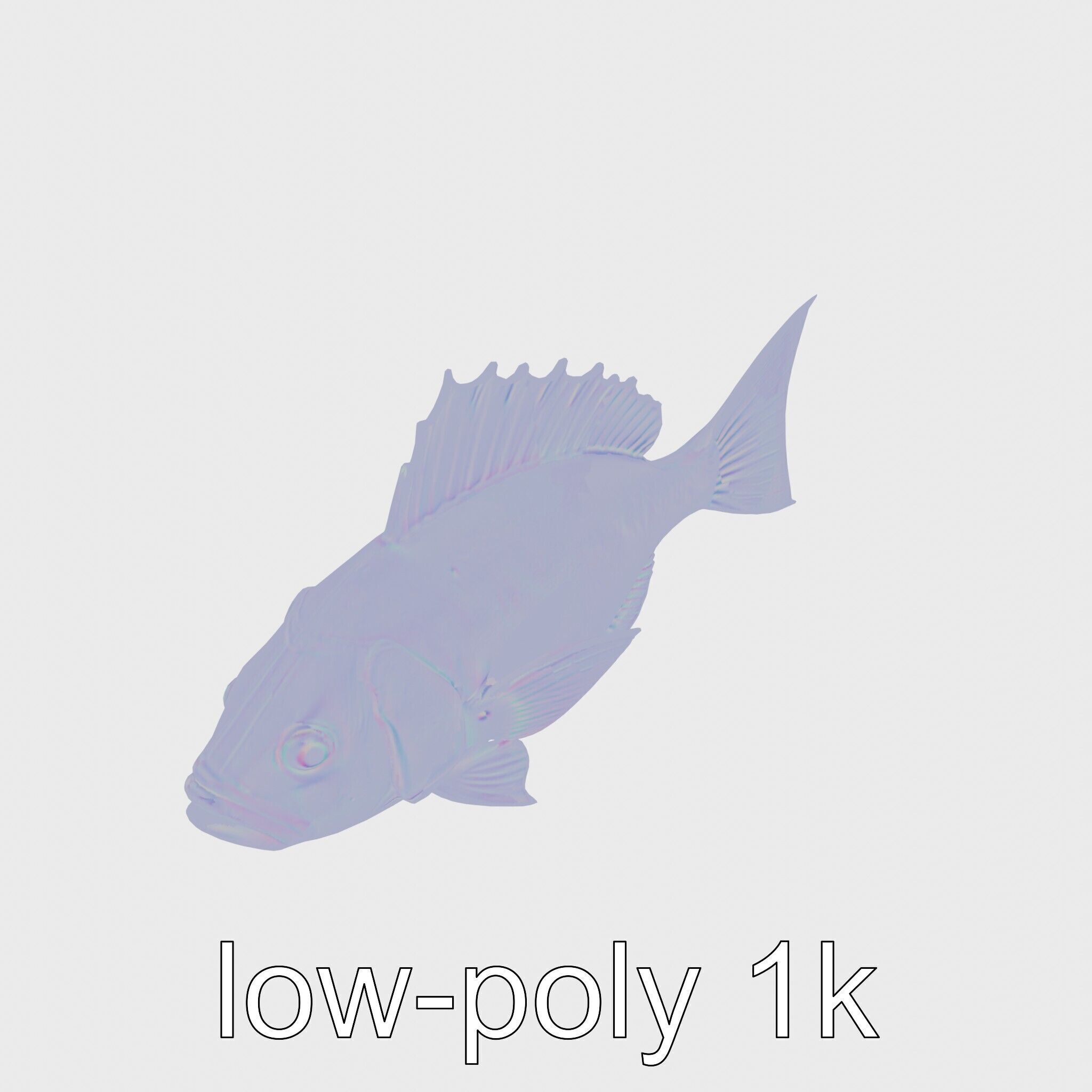 Ocean Sunfish With Flattened Body and Large Fins 3D Model Low-poly 3D model_17