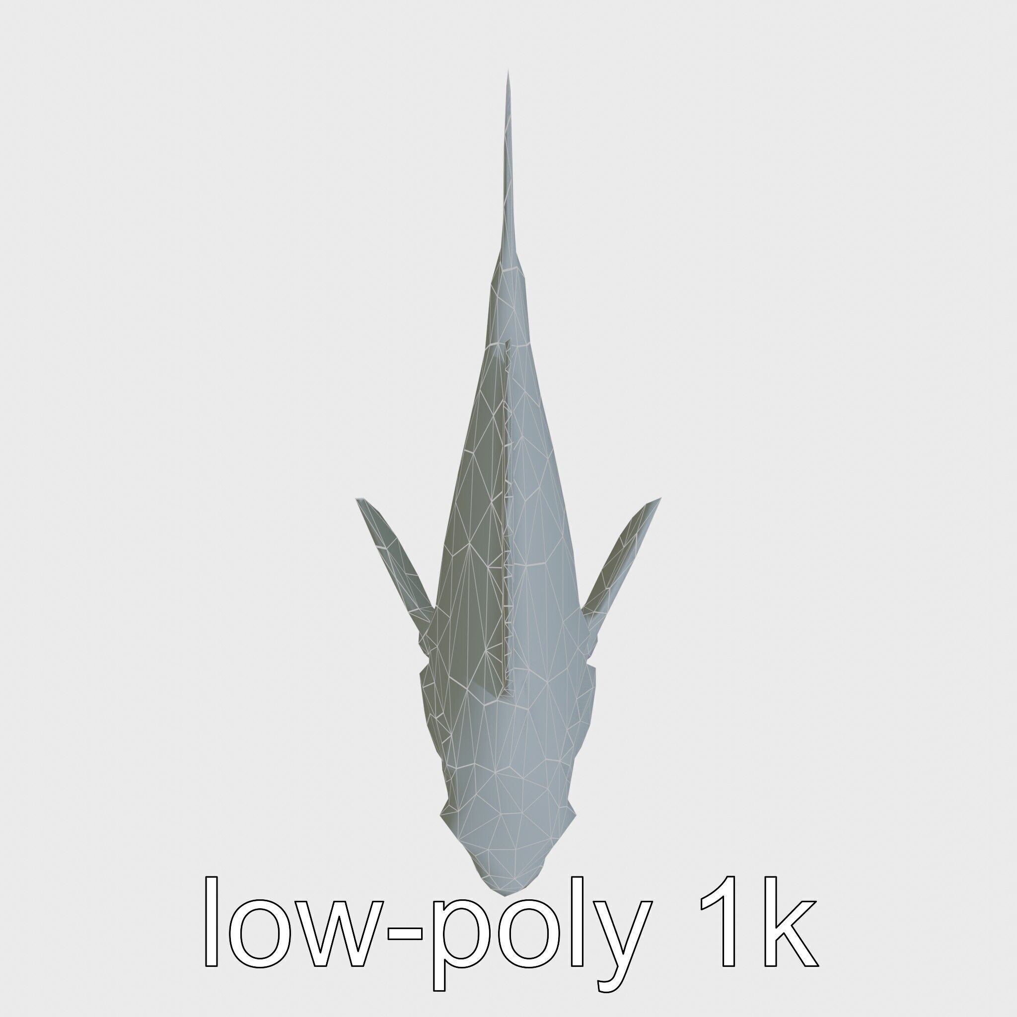 Ocean Sunfish With Flattened Body and Large Fins 3D Model Low-poly 3D model_14