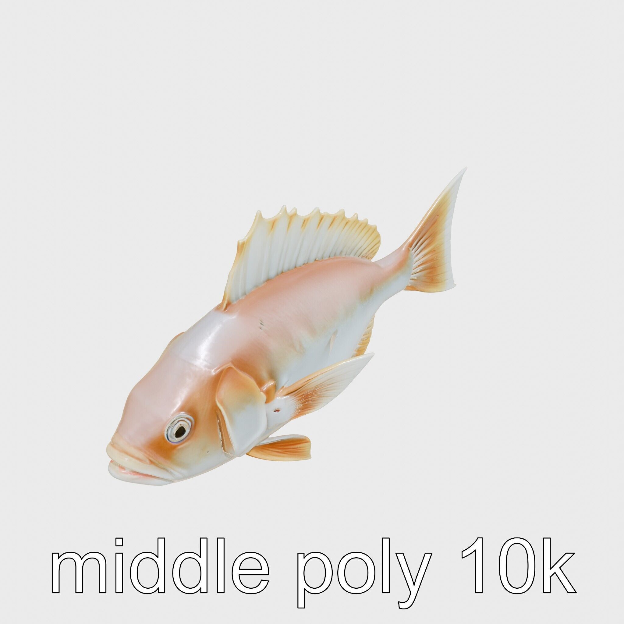 Ocean Sunfish With Flattened Body and Large Fins 3D Model Low-poly 3D model_21