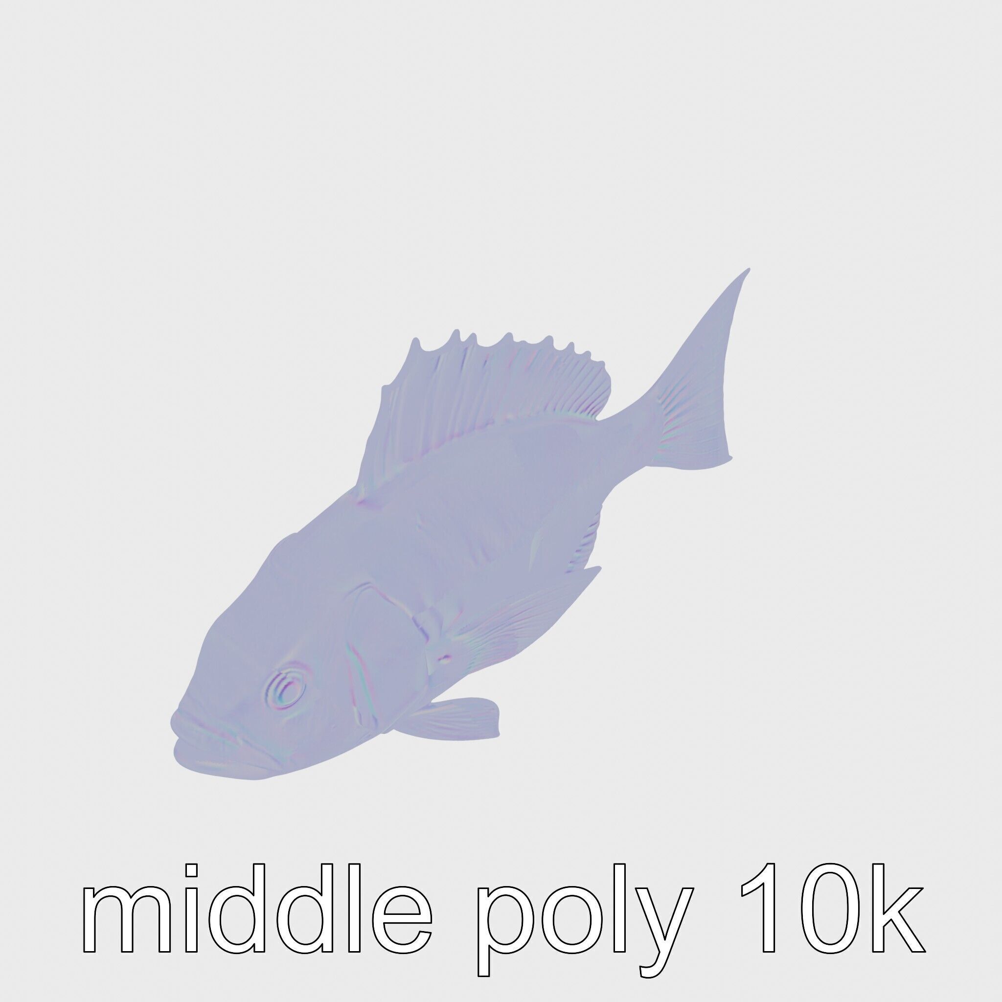 Ocean Sunfish With Flattened Body and Large Fins 3D Model Low-poly 3D model_27