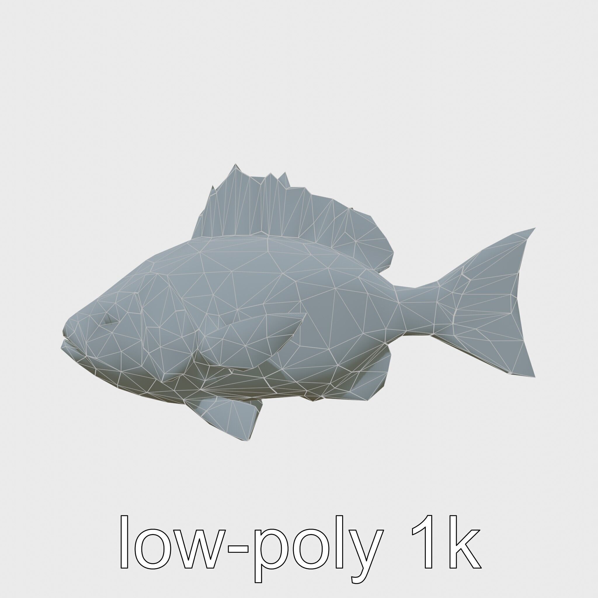 Ocean Sunfish With Flattened Body and Large Fins 3D Model Low-poly 3D model_20
