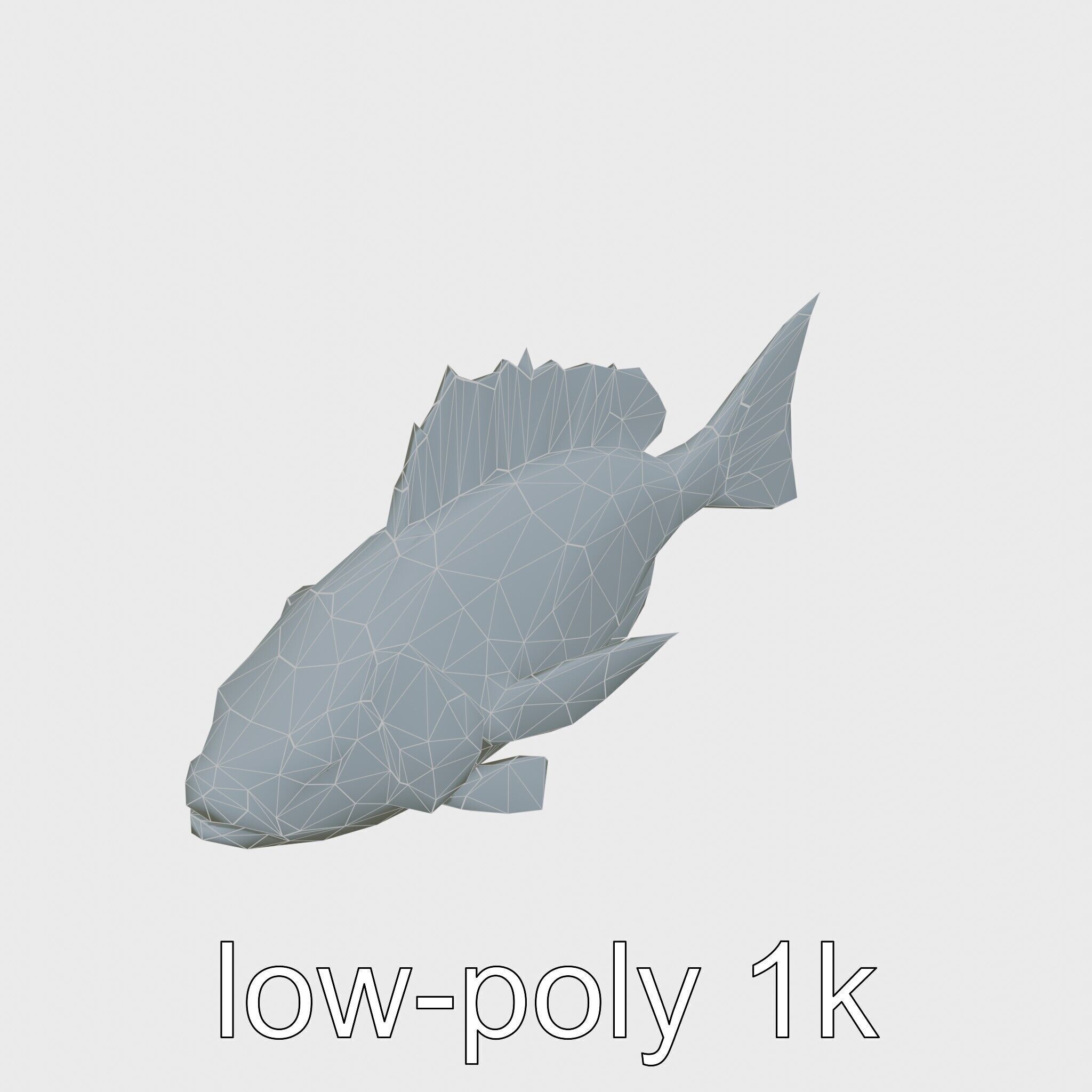 Ocean Sunfish With Flattened Body and Large Fins 3D Model Low-poly 3D model_19