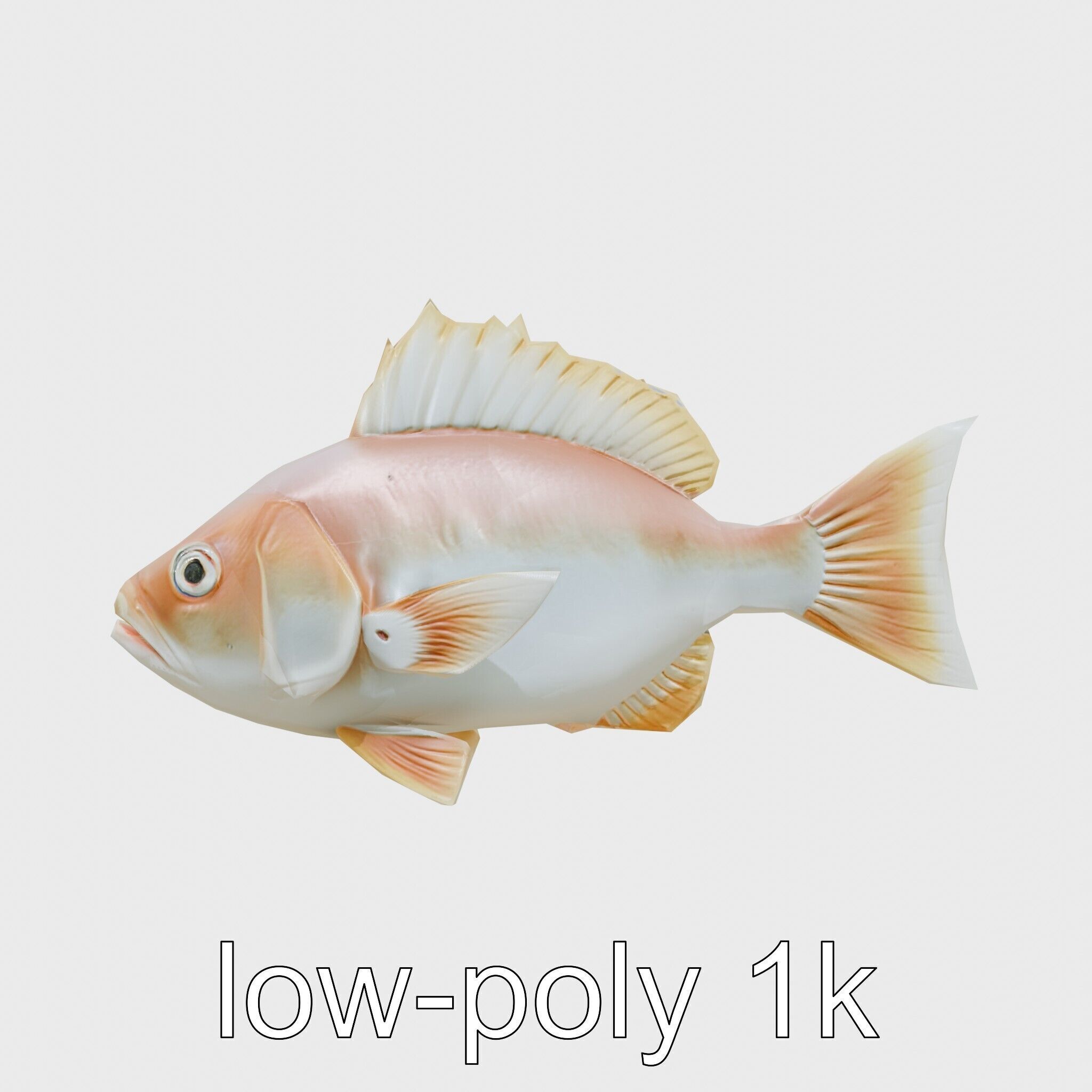 Ocean Sunfish With Flattened Body and Large Fins 3D Model Low-poly 3D model_7