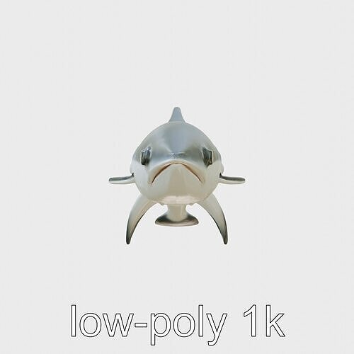 Vaquita Marine Mammal Model Critically Endangered Low-poly 3D model