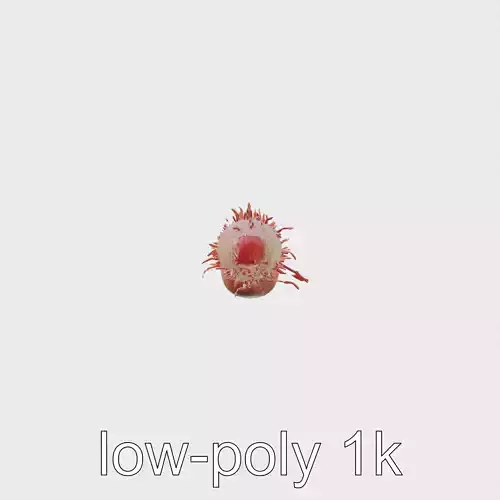 Venus Flytrap Anemone Trap Tentacles Low-poly 3D model